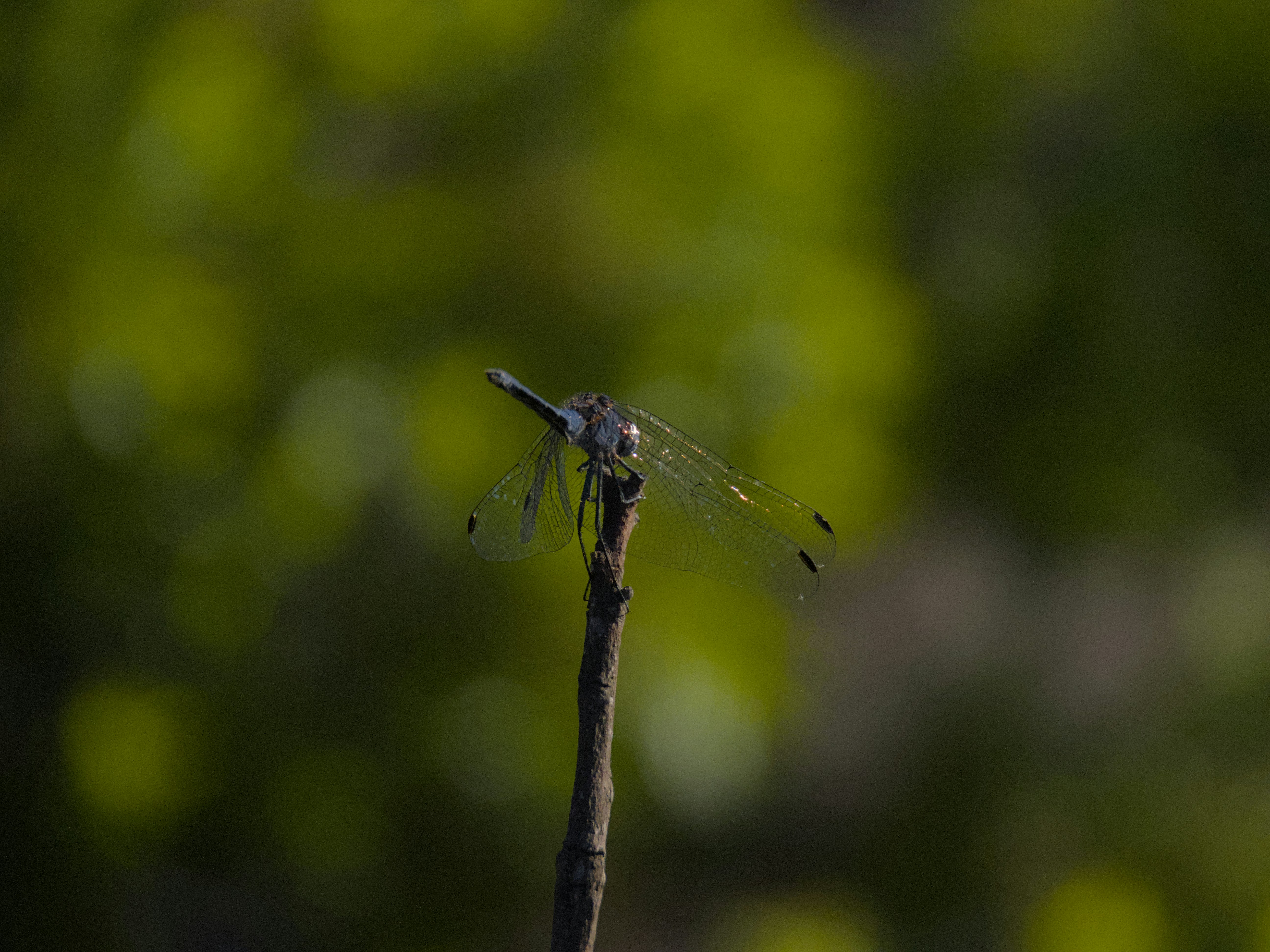 Photo by ja_photography