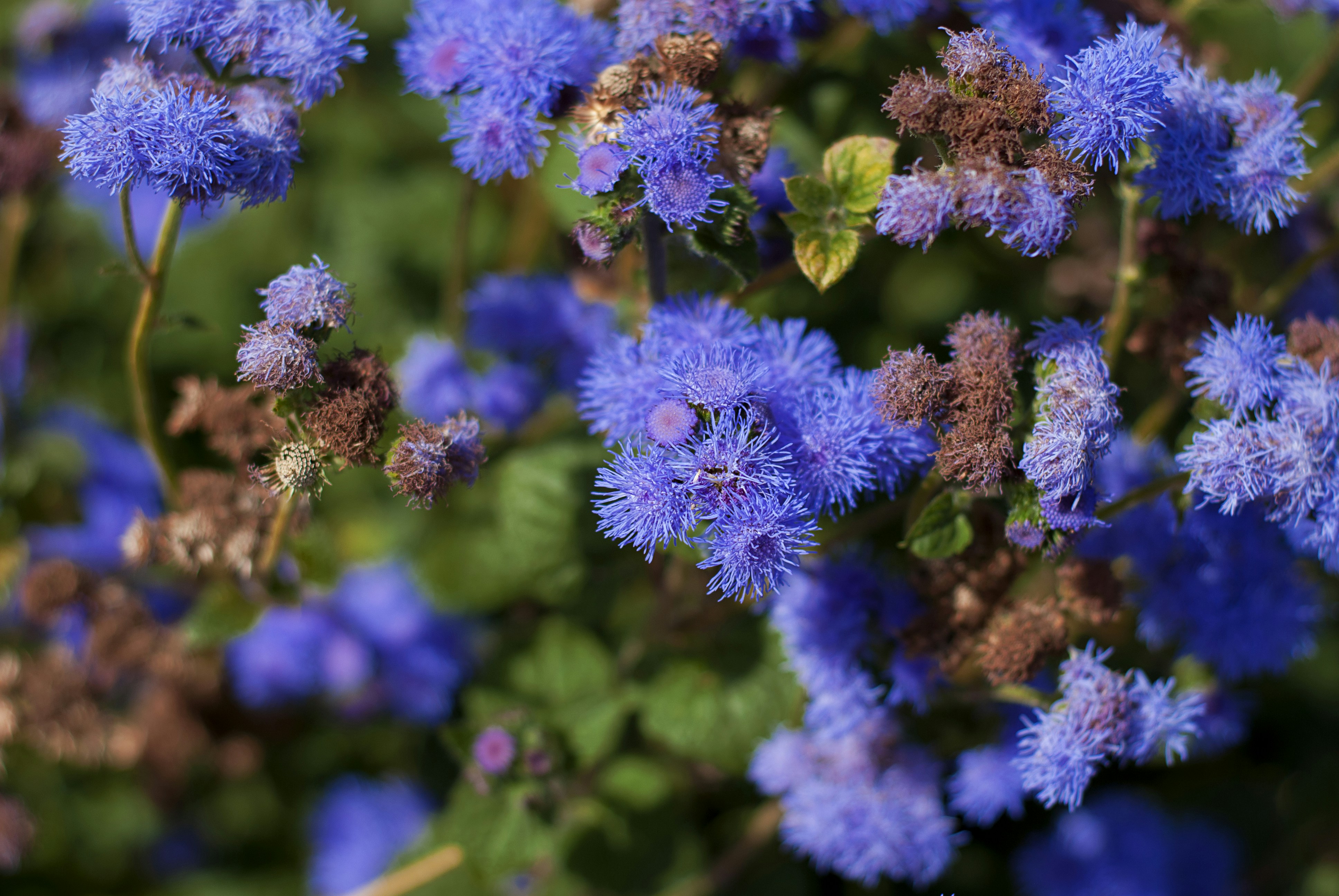 Photo by kovalskihelga