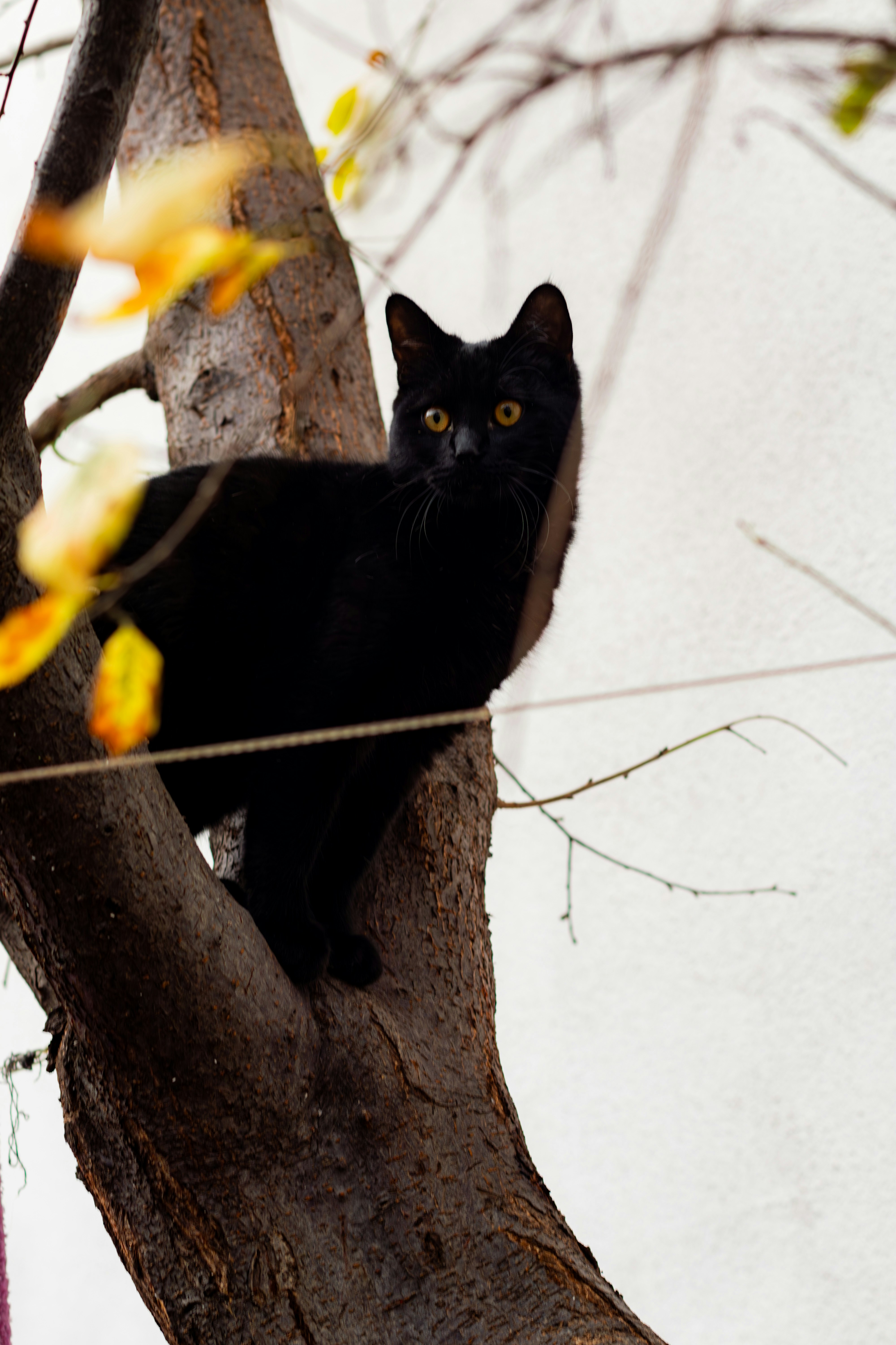 Photo by emrecandora