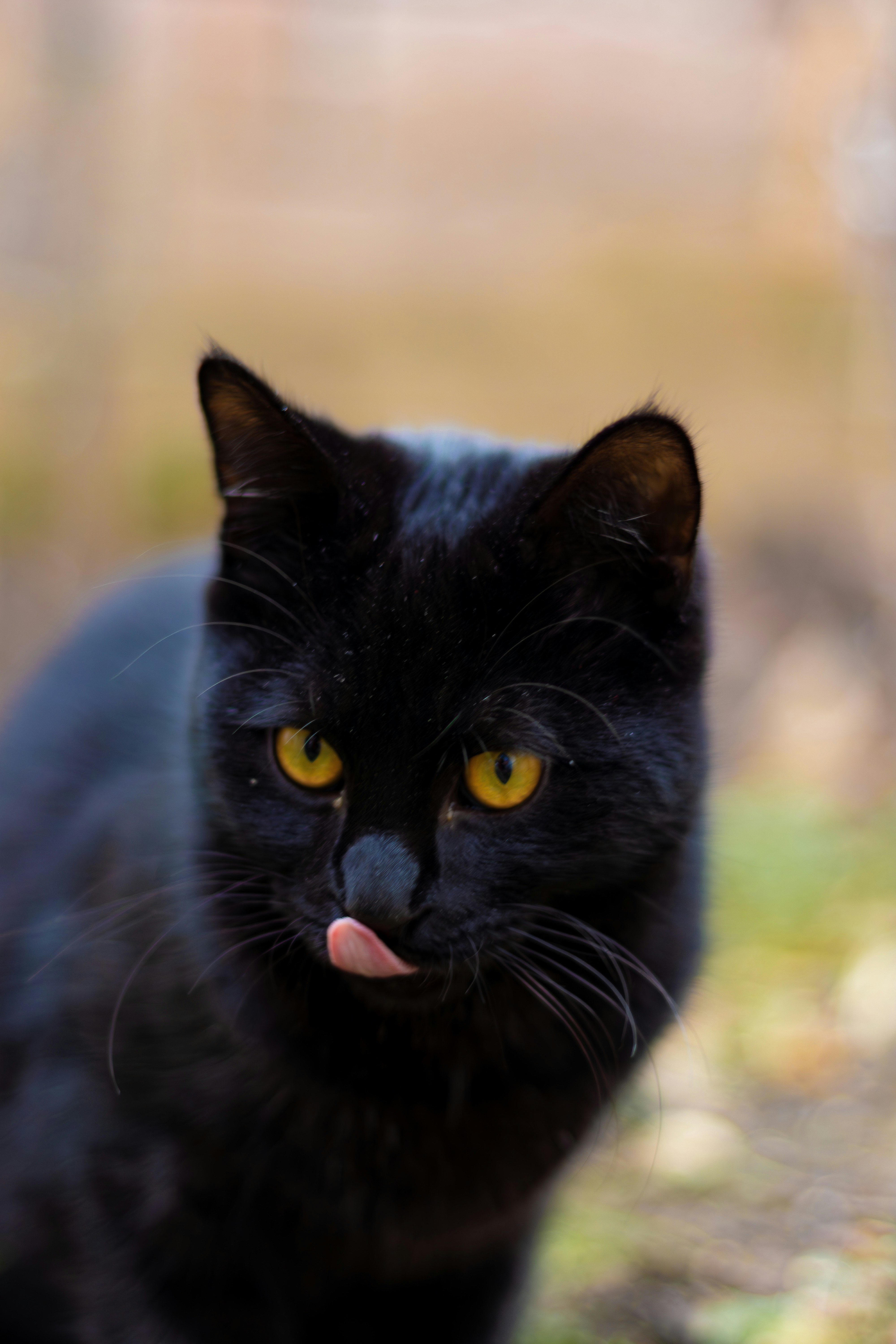 Photo by emrecandora