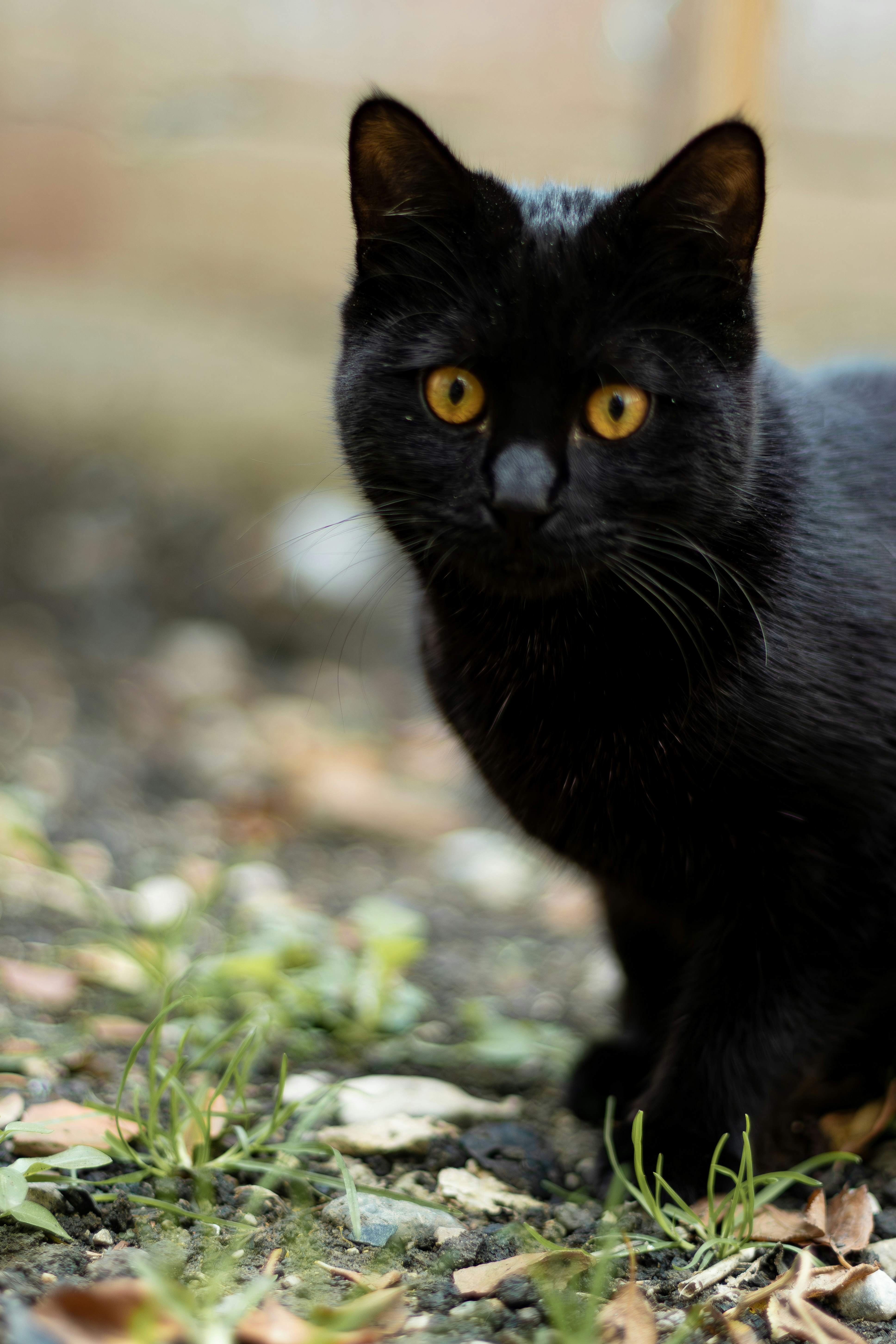 Photo by emrecandora