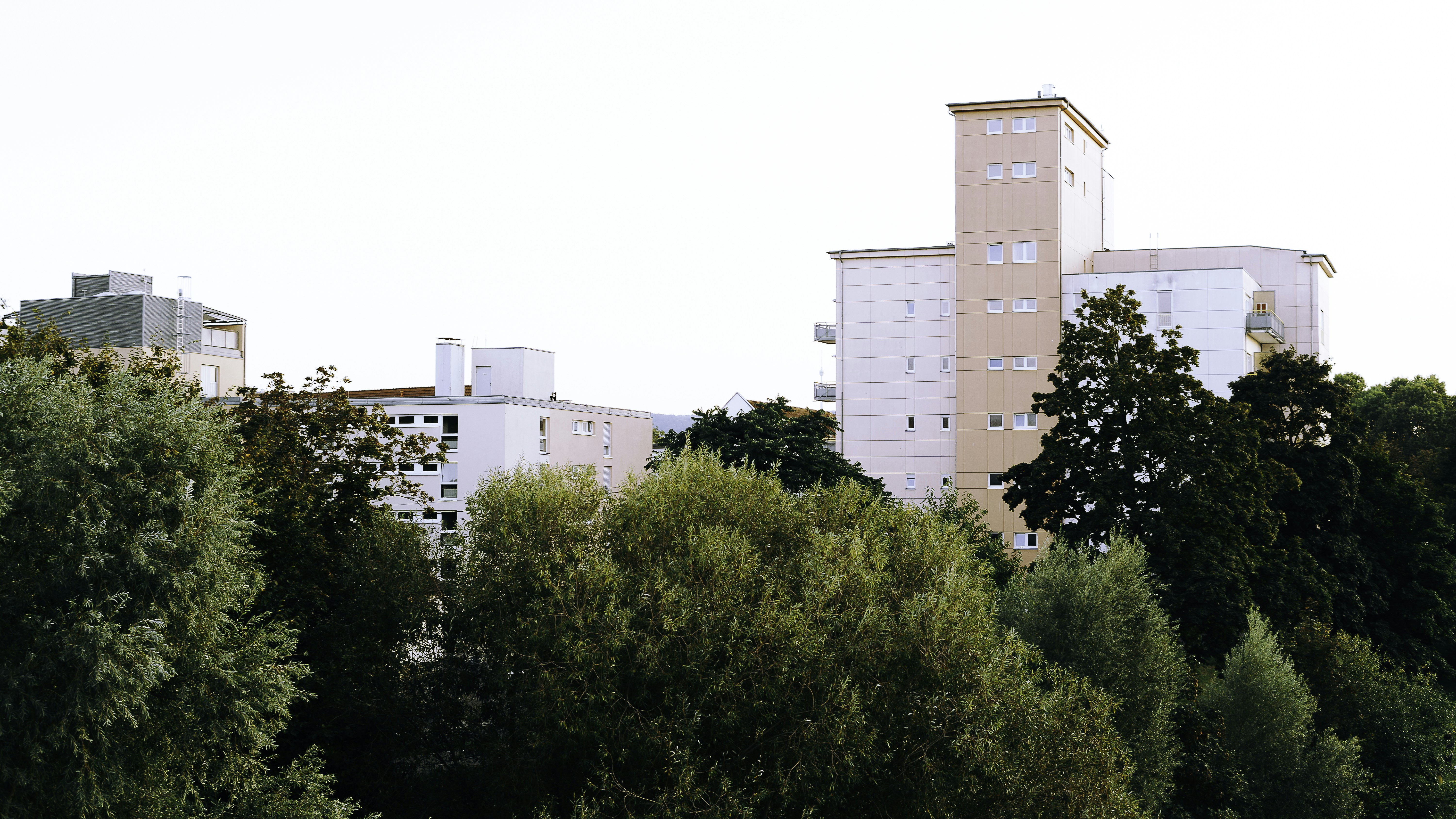 A group of people sitting on a bench in a park