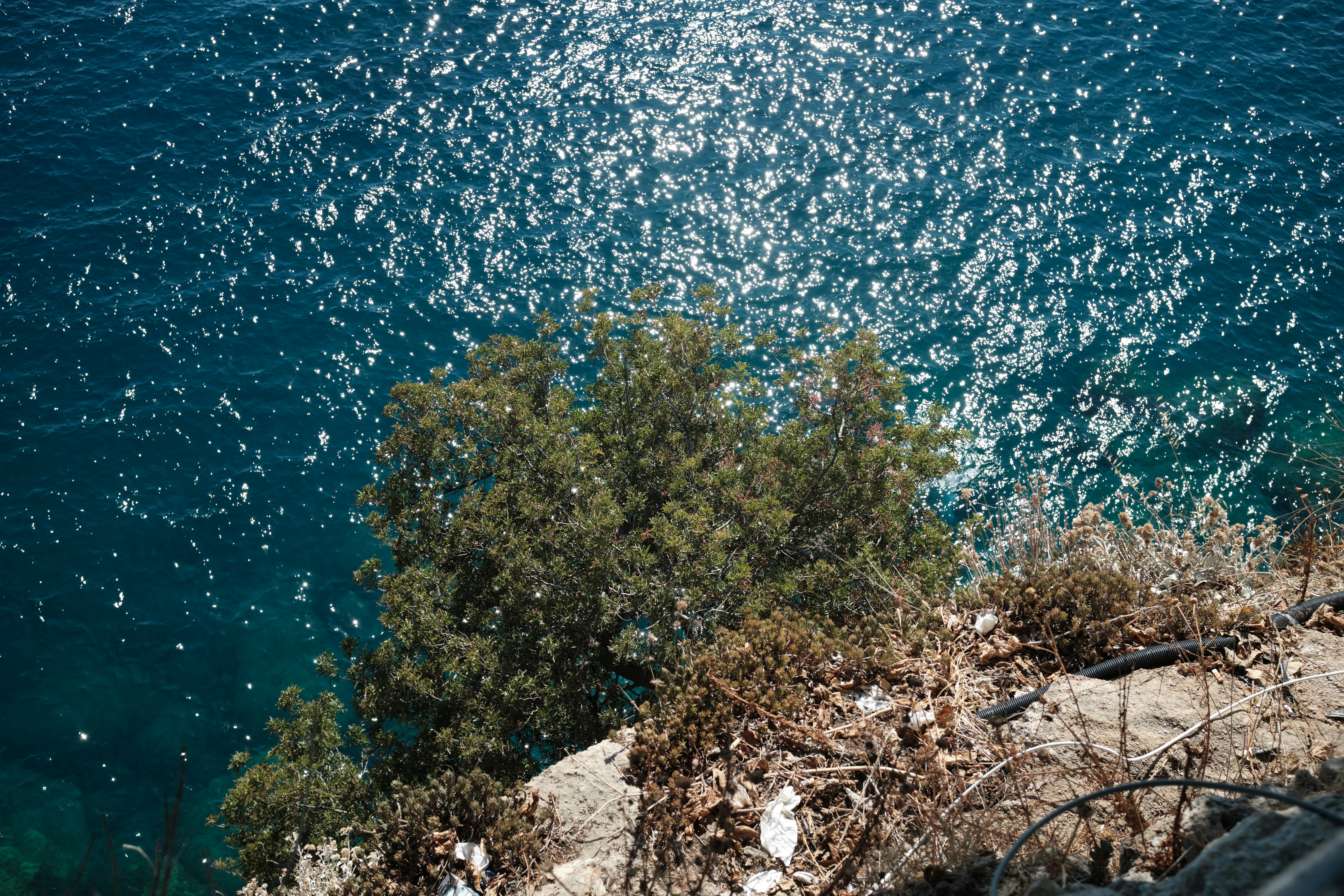 Vista dall'alto di uno specchio d'acqua