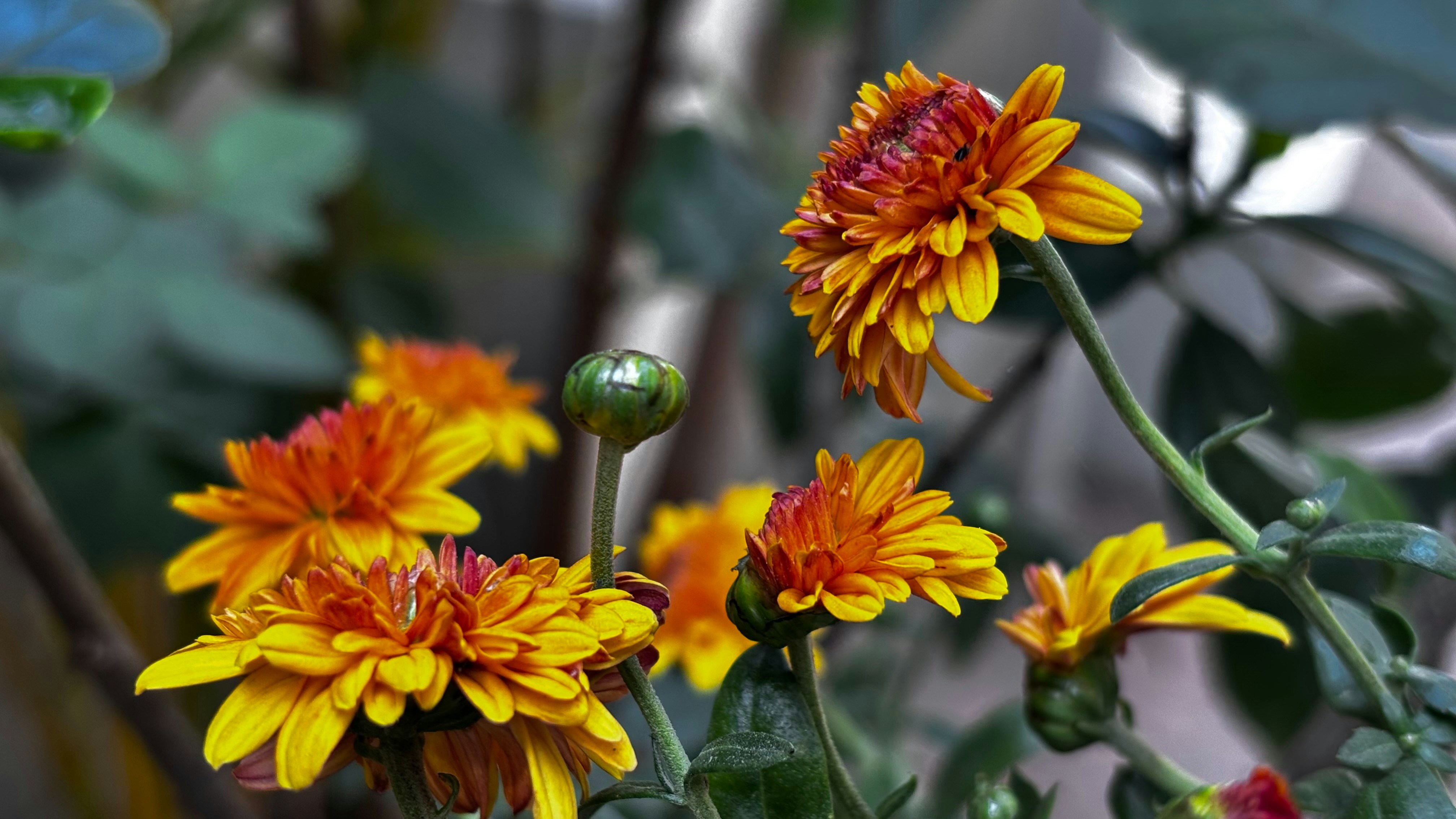 Photo by rockybalboa14