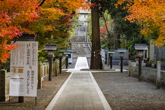 A walkway in a park lined with trees with orange and red leaves