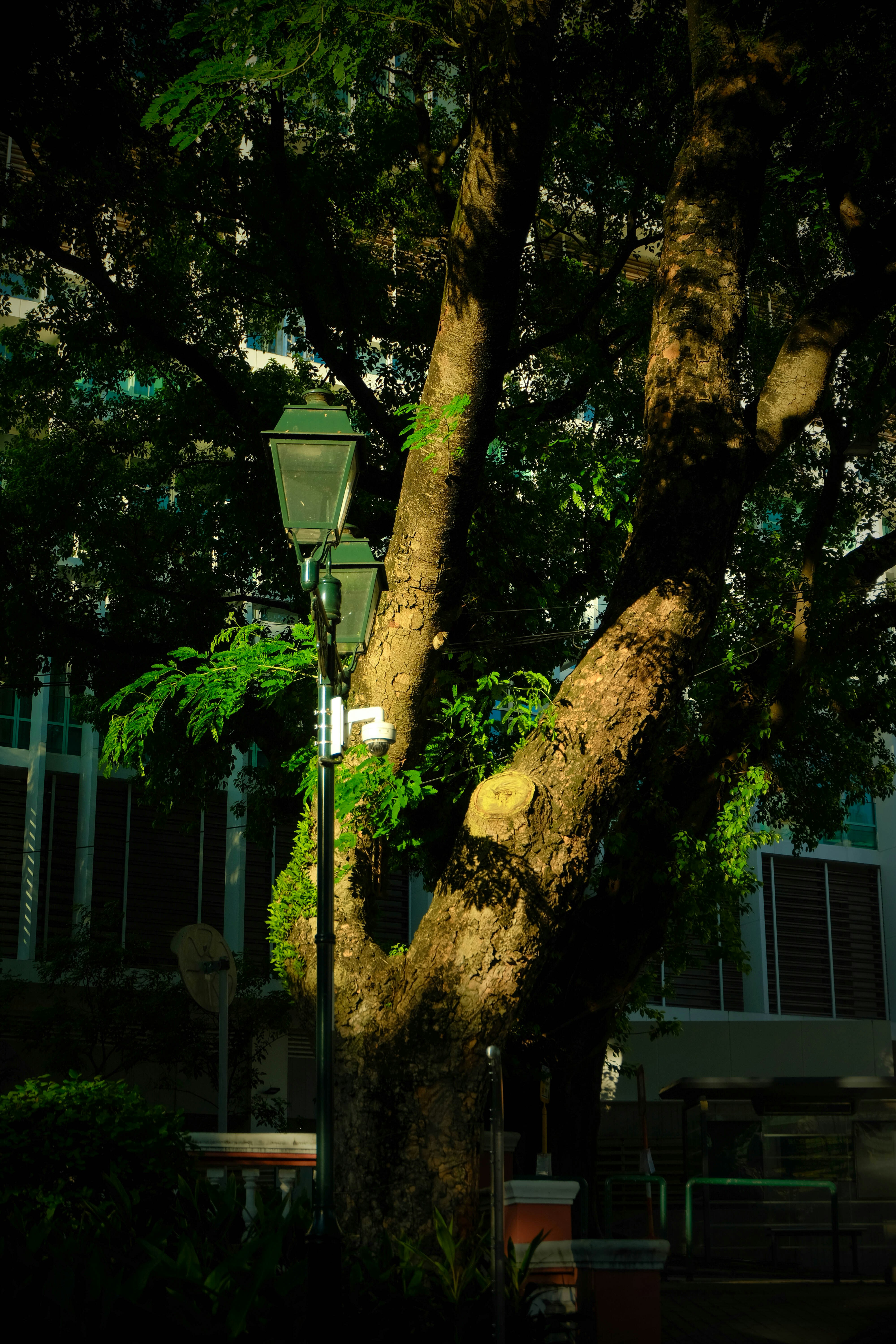 Photo by macau_photography