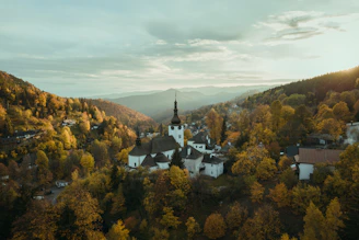An aerial view of a small town surrounded by trees