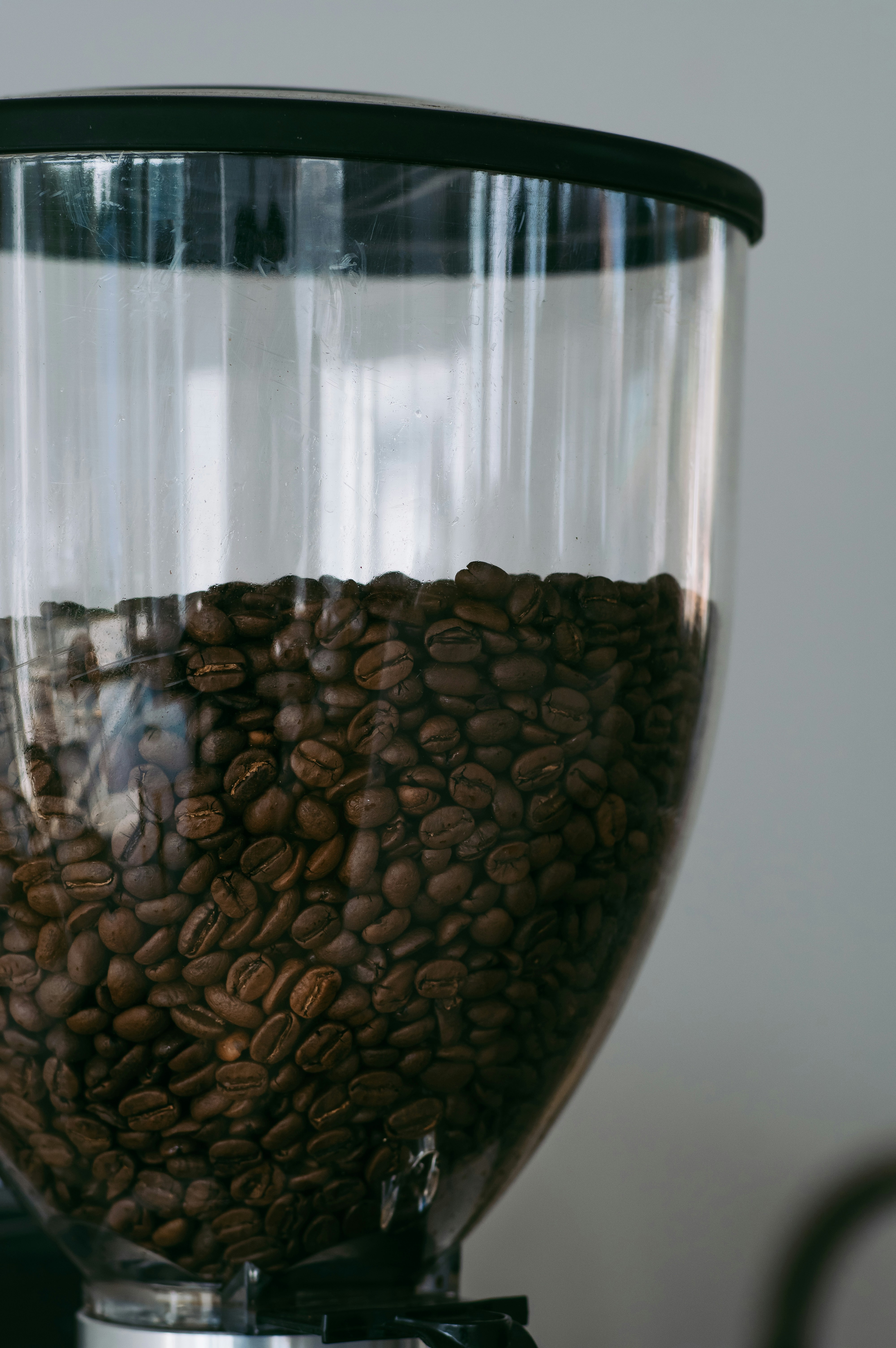 A coffee grinder filled with lots of coffee beans