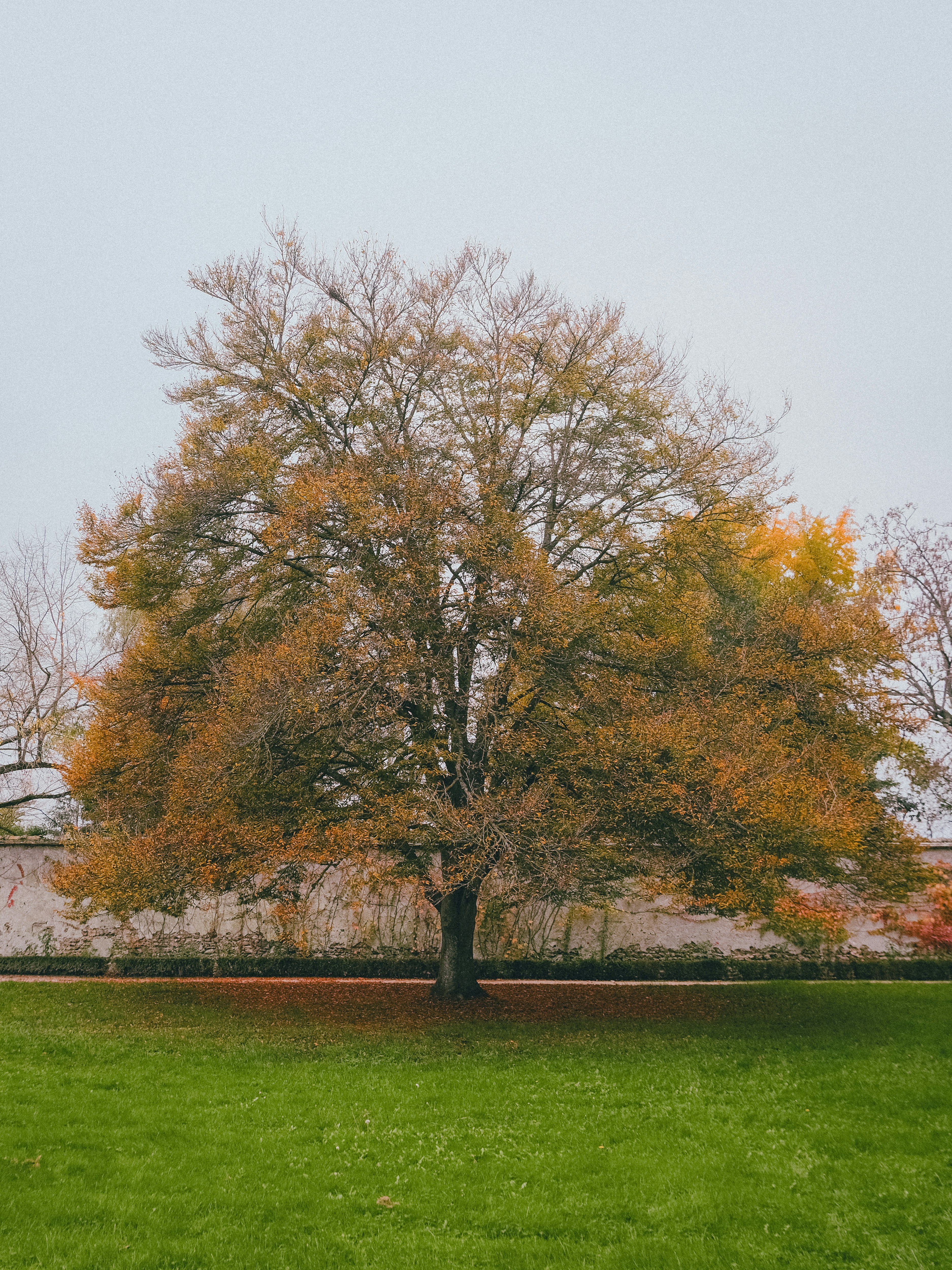 Photo by itsaroadmap