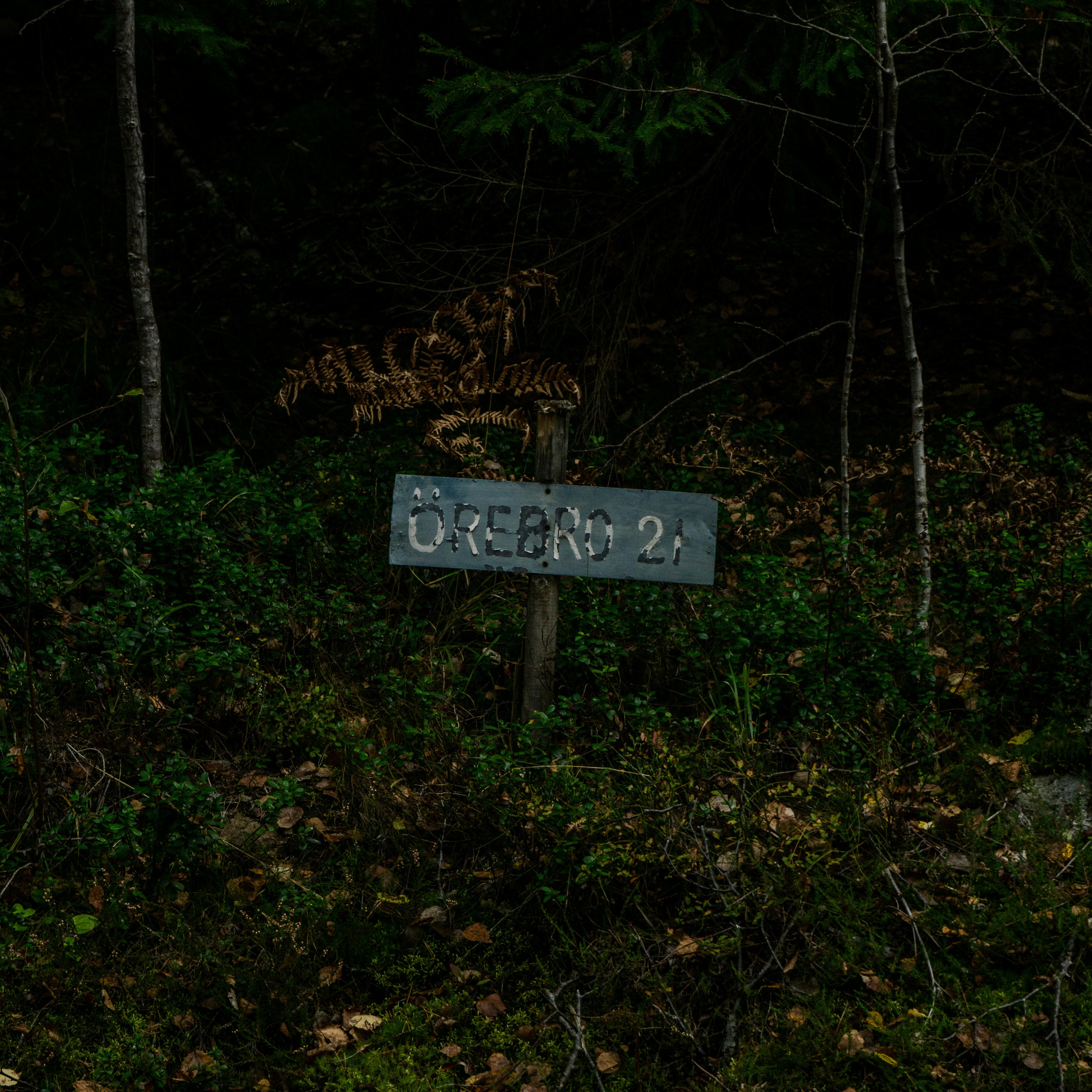 Photo by david_pavka