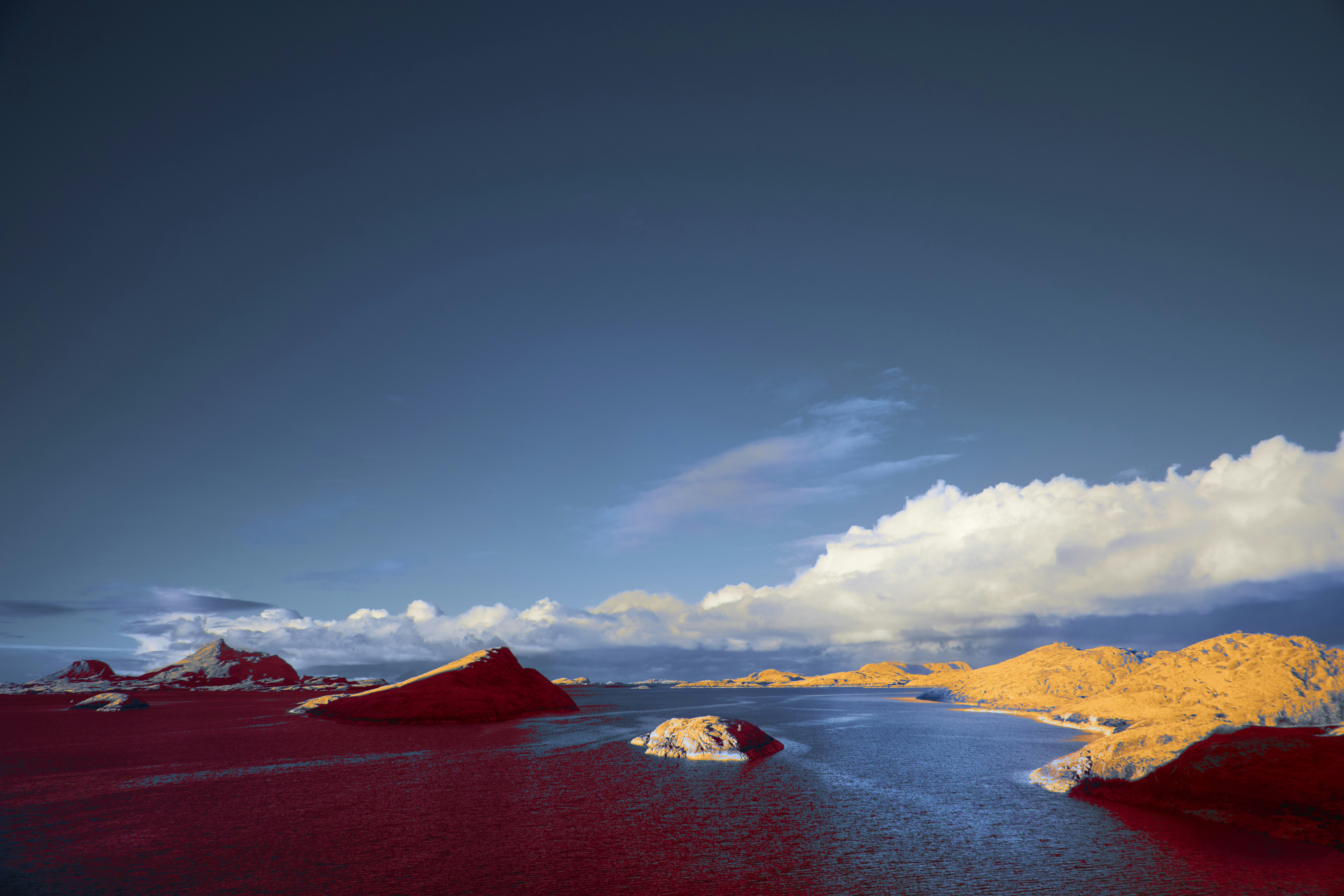 Photo by wolfgang_hasselmann