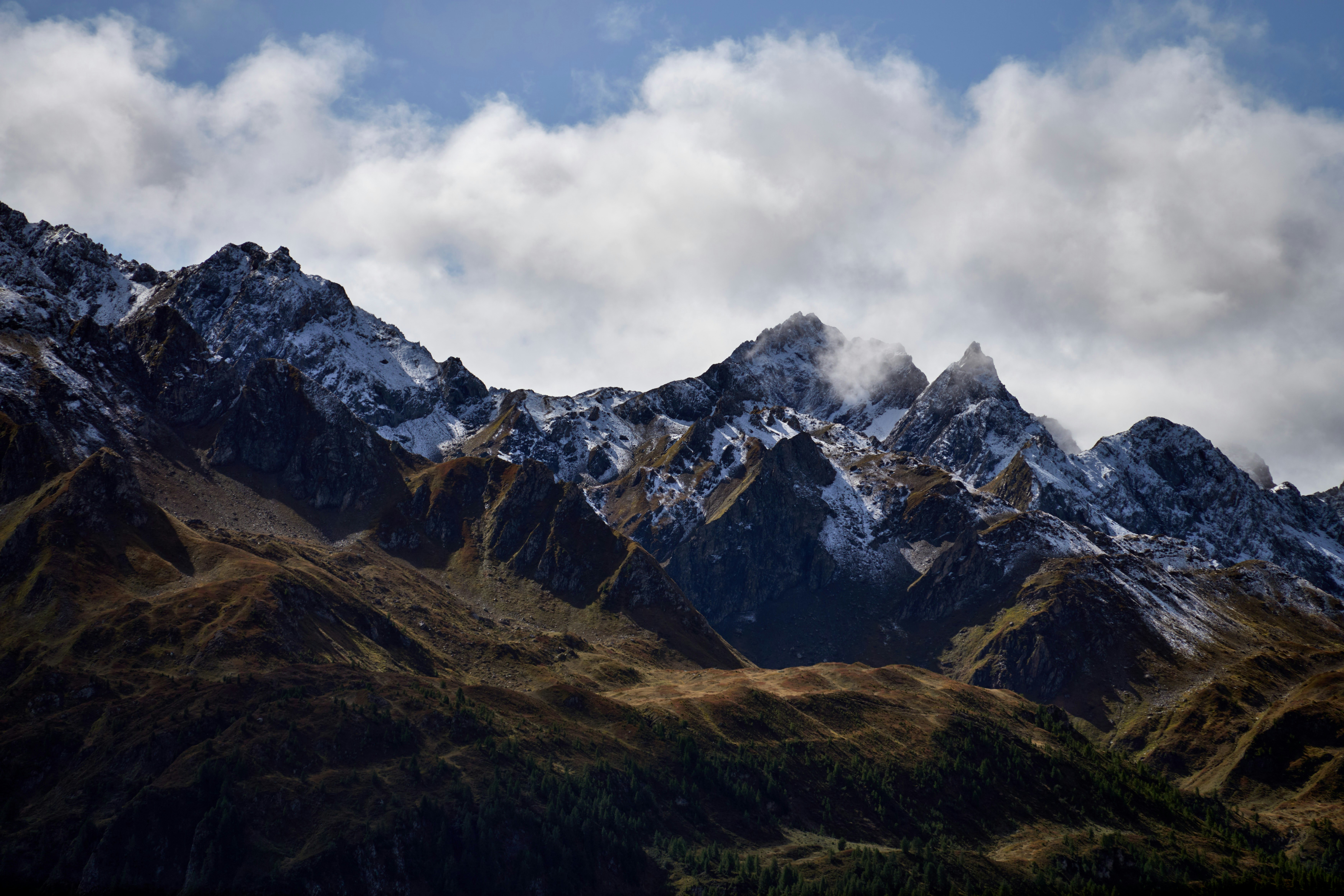 Photo by wolfgang_hasselmann