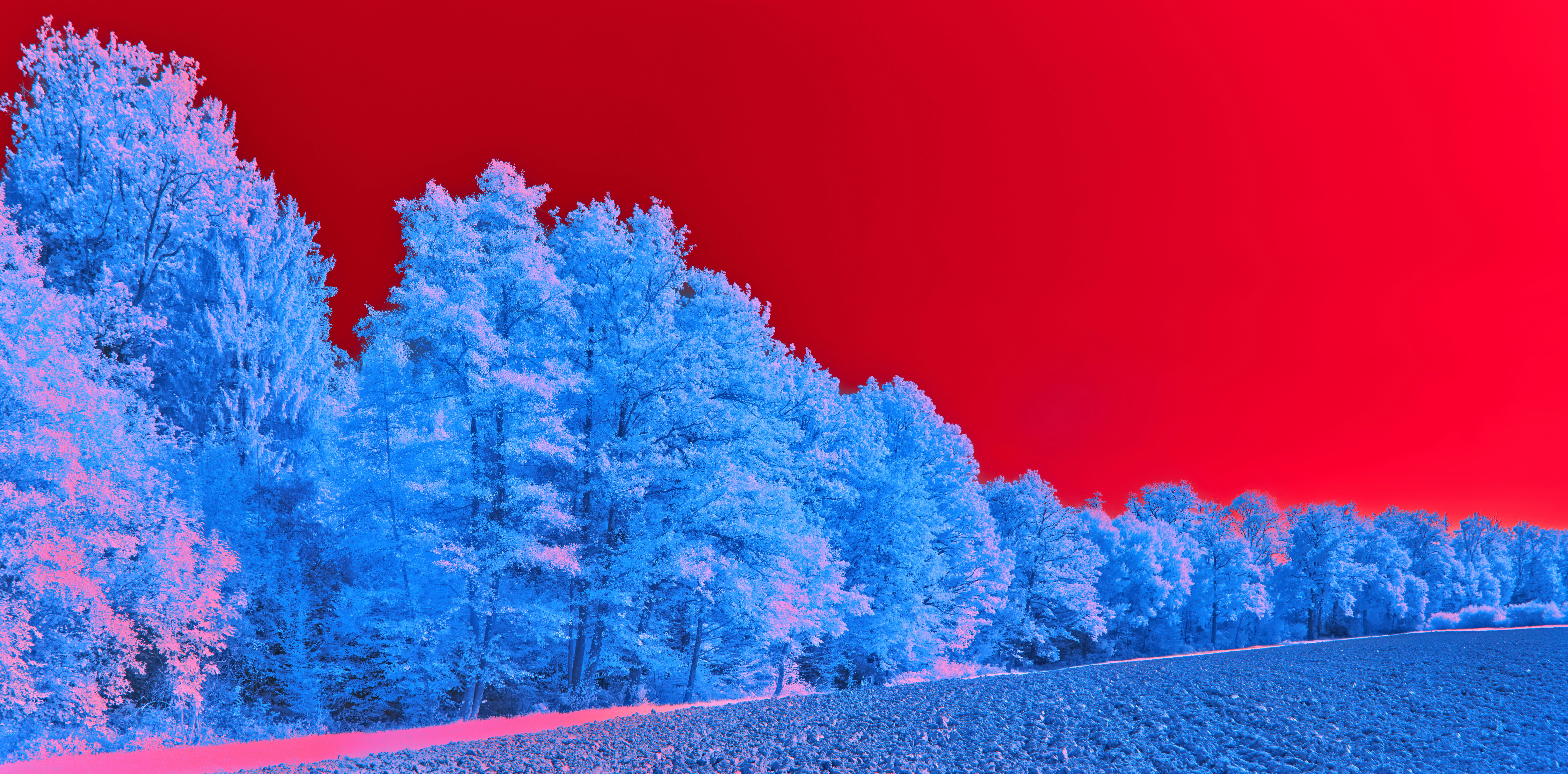 Photo by wolfgang_hasselmann