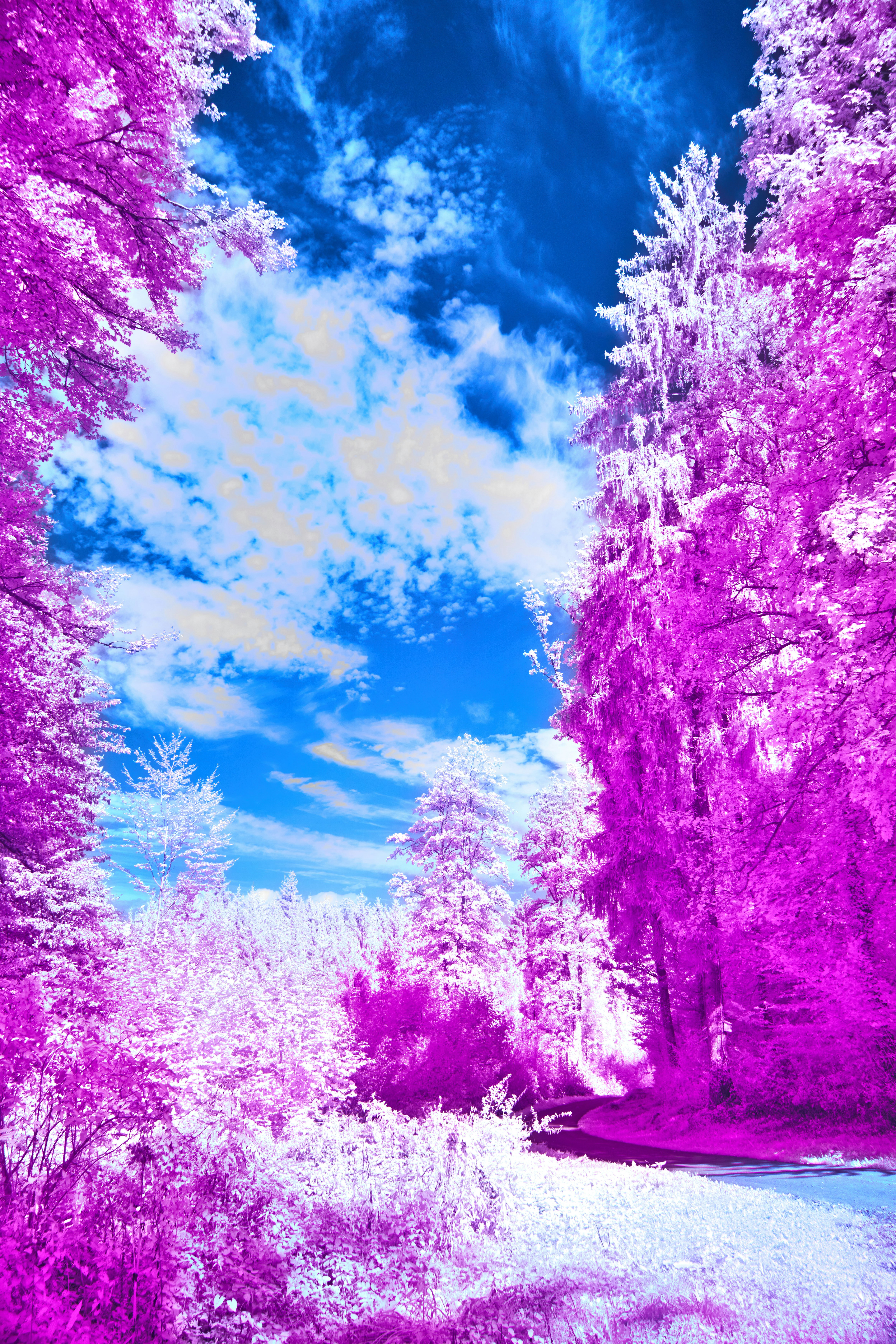 Photo by wolfgang_hasselmann