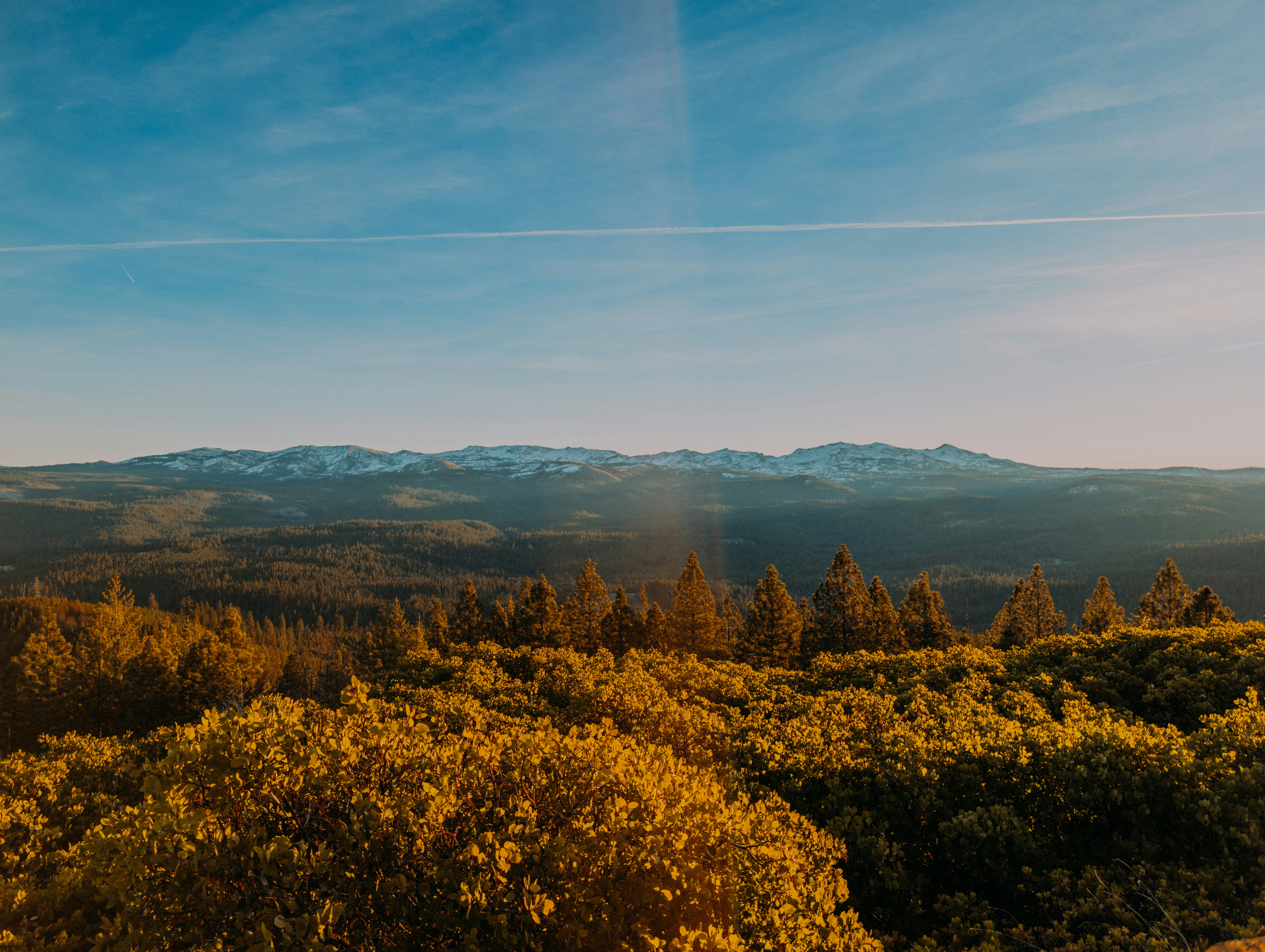 Photo by nathanguzman