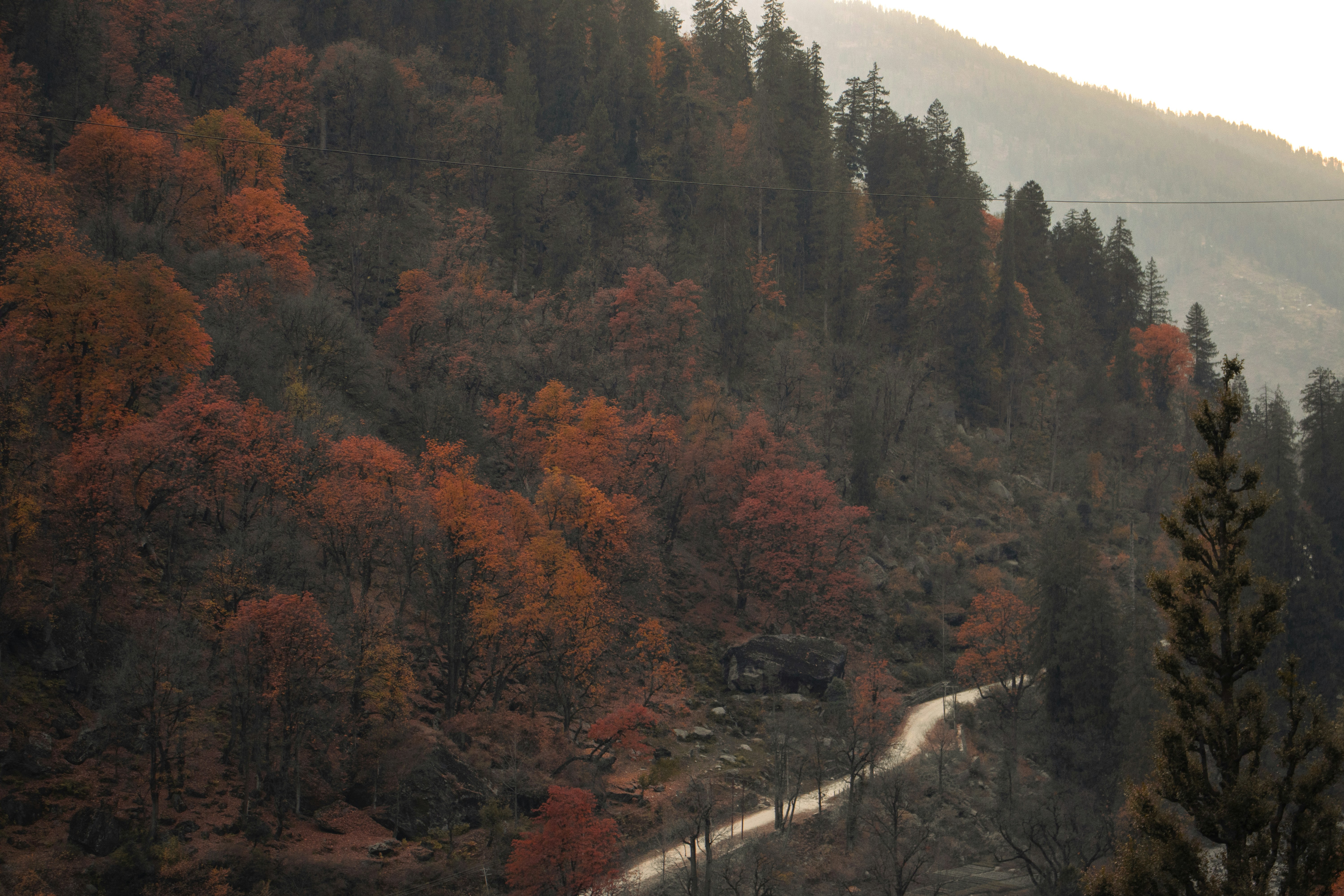 Photo by akshat_jhingran