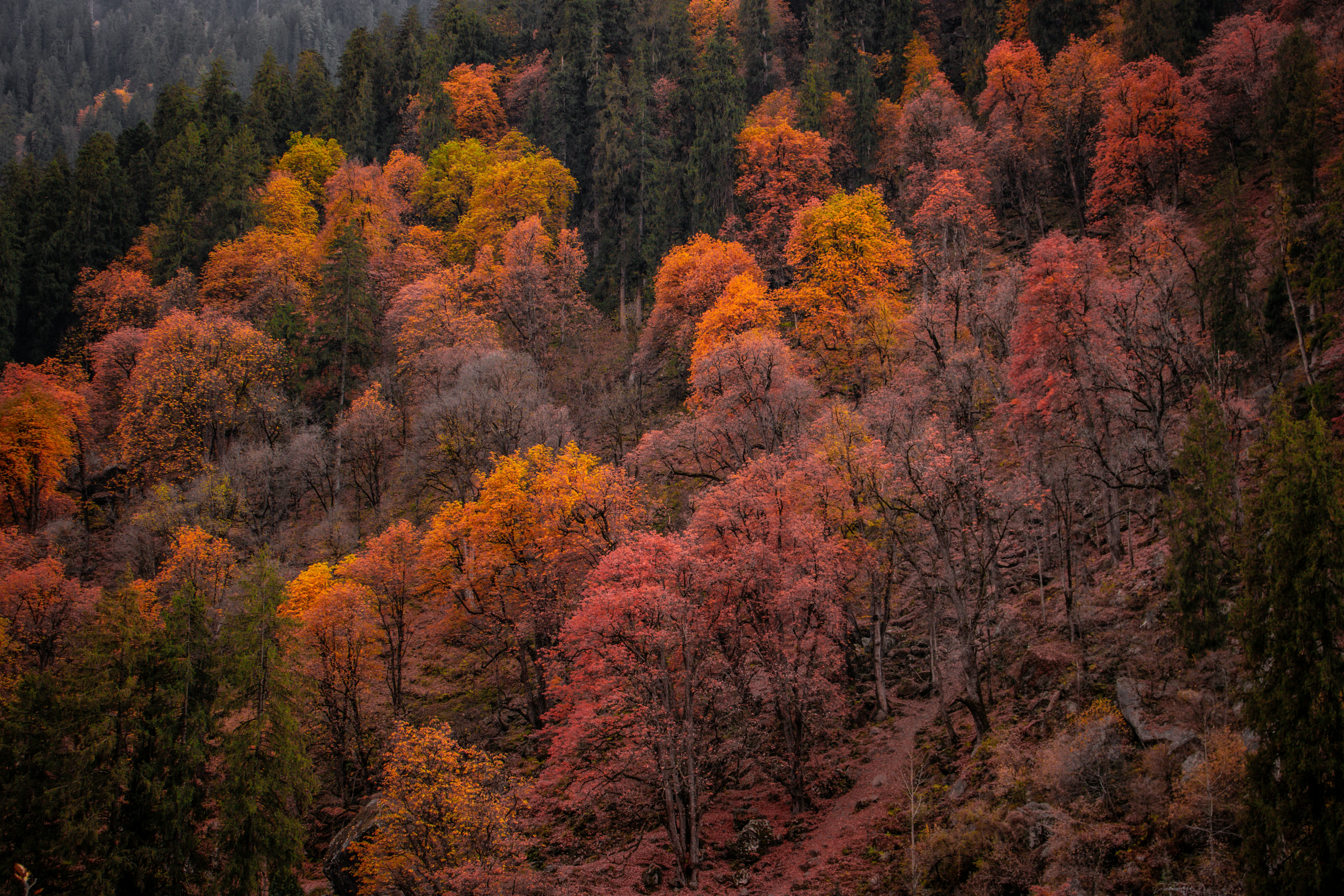 Photo by akshat_jhingran