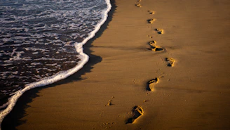 A person walking along a beach next to the ocean