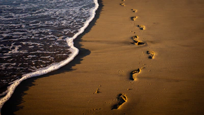 A person walking along a beach next to the ocean
