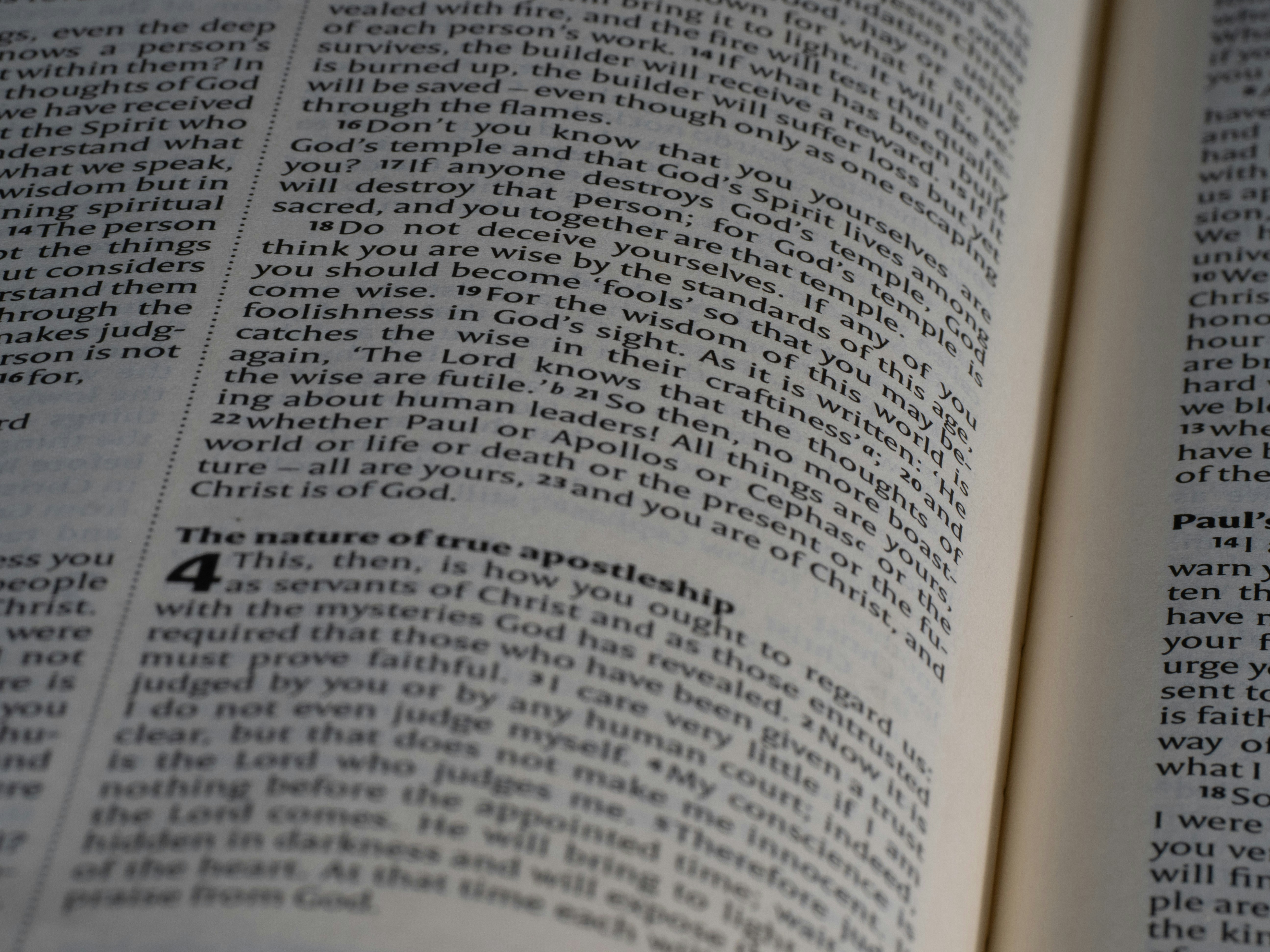 Photo by brett_jordan