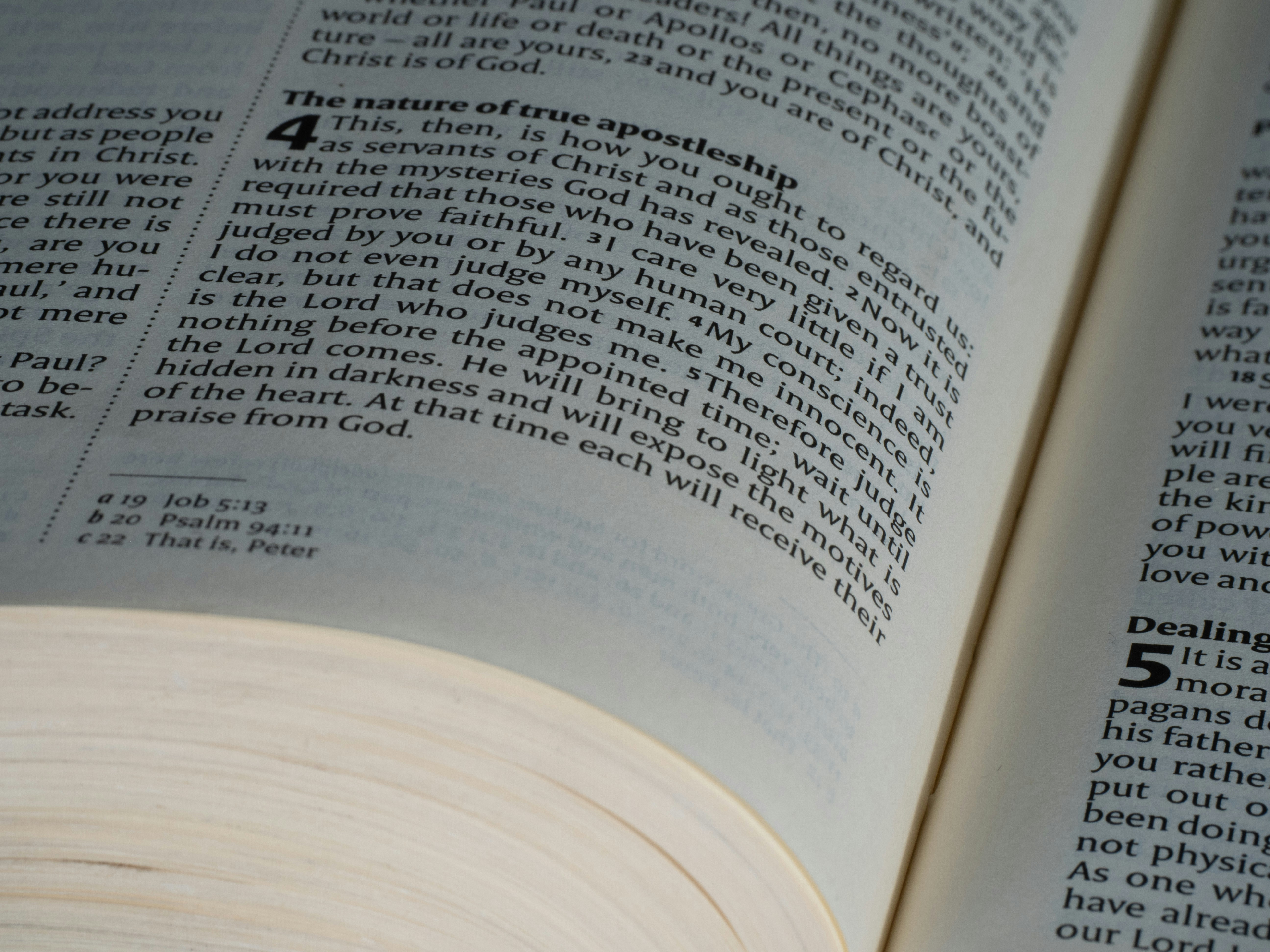 Photo by brett_jordan