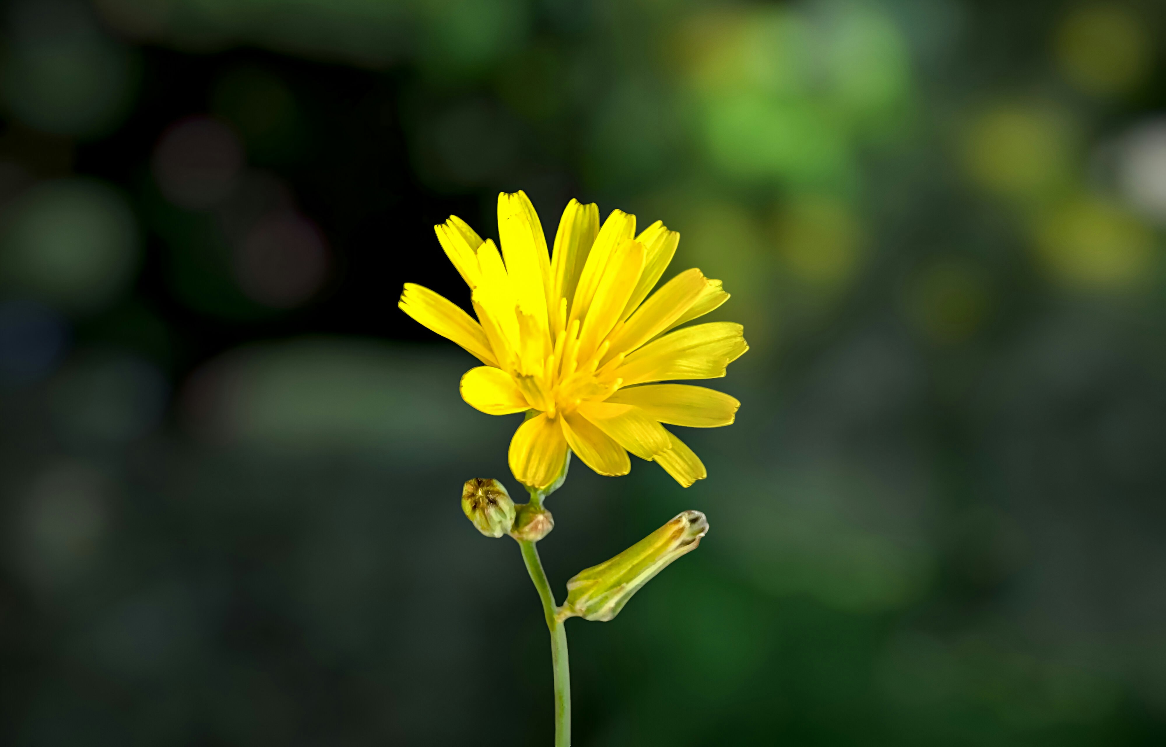 Photo by forever_knight