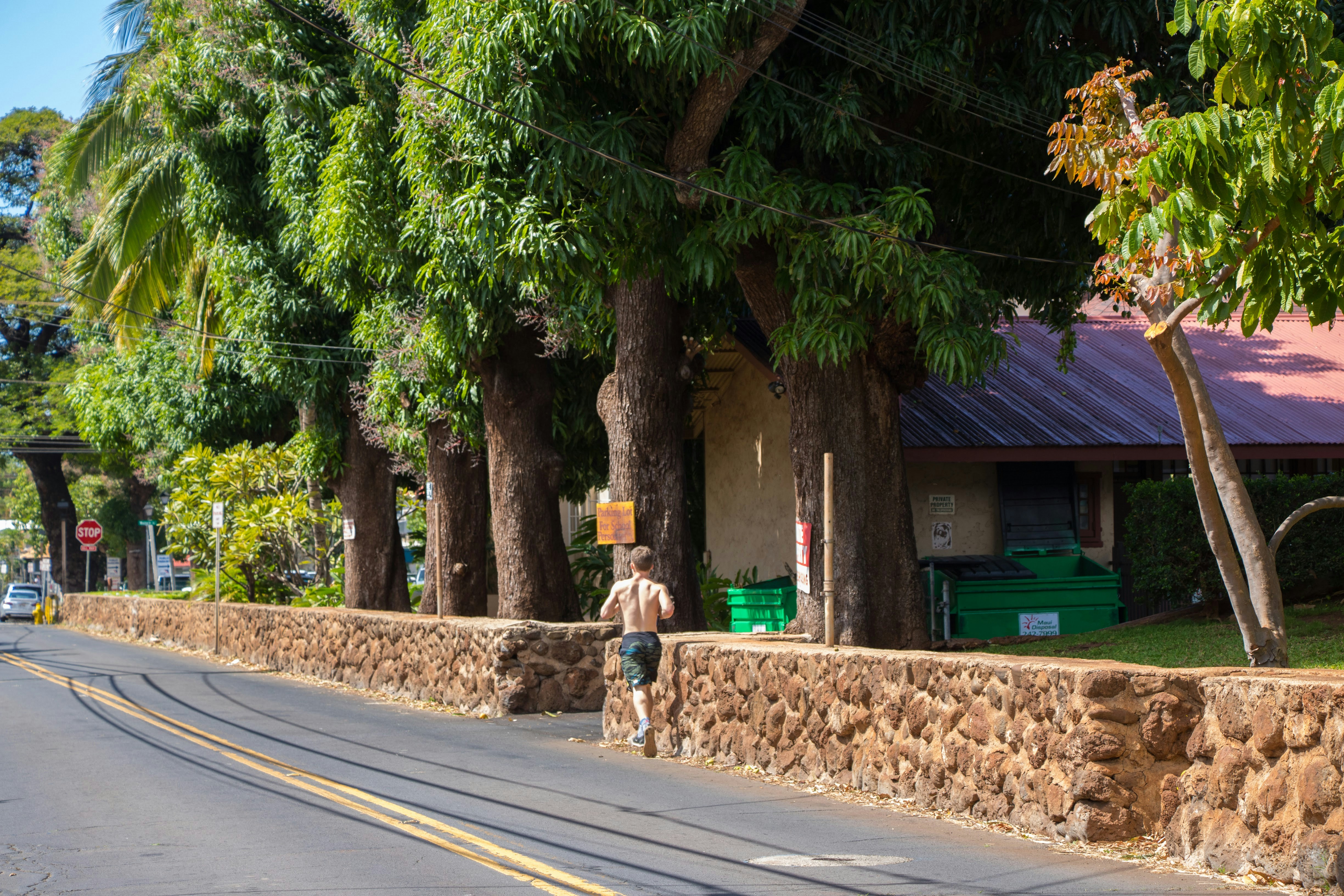 Man running on a tree-lined street past a stone wall