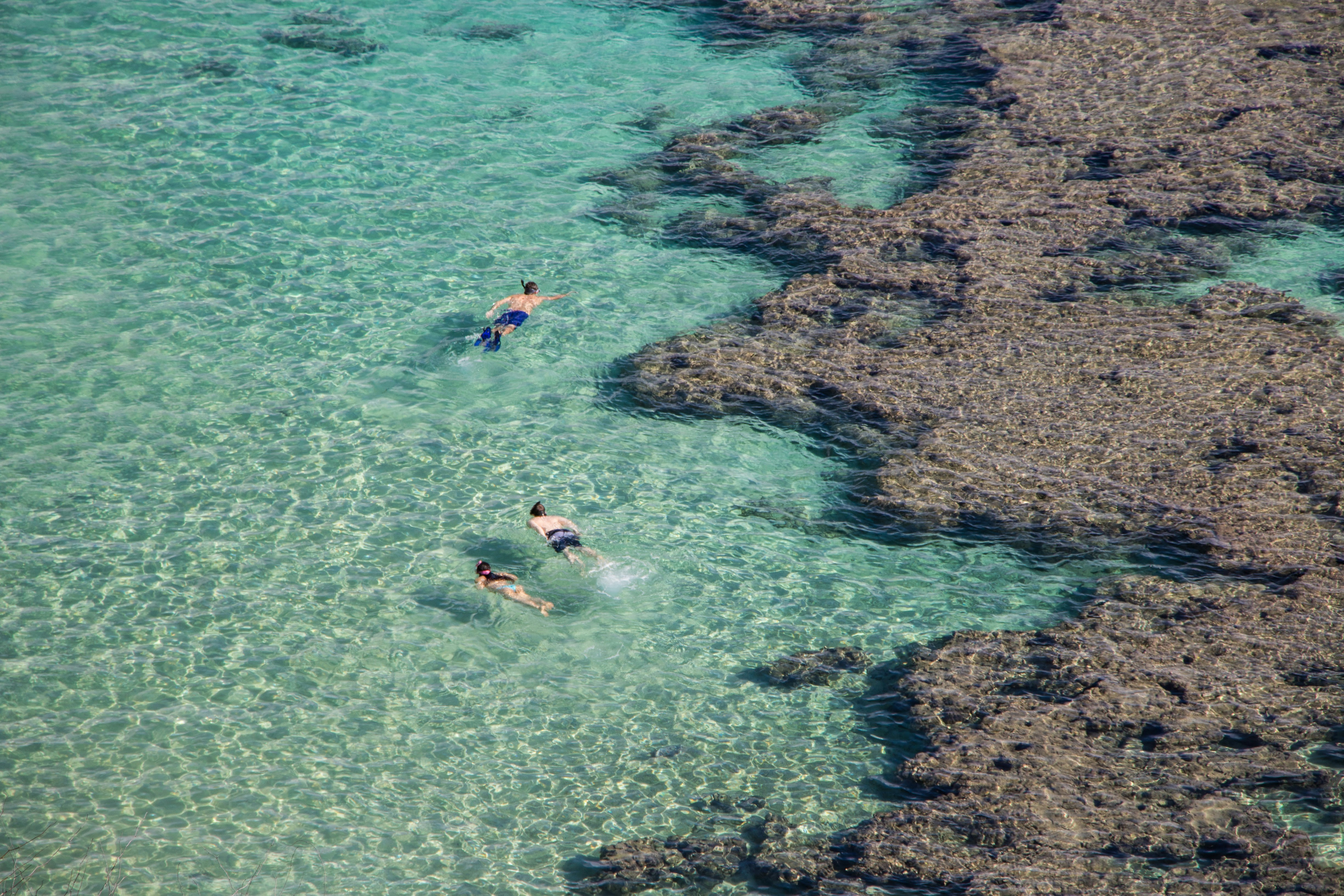 Family snorkeling in the crystal-clear waters of Maui