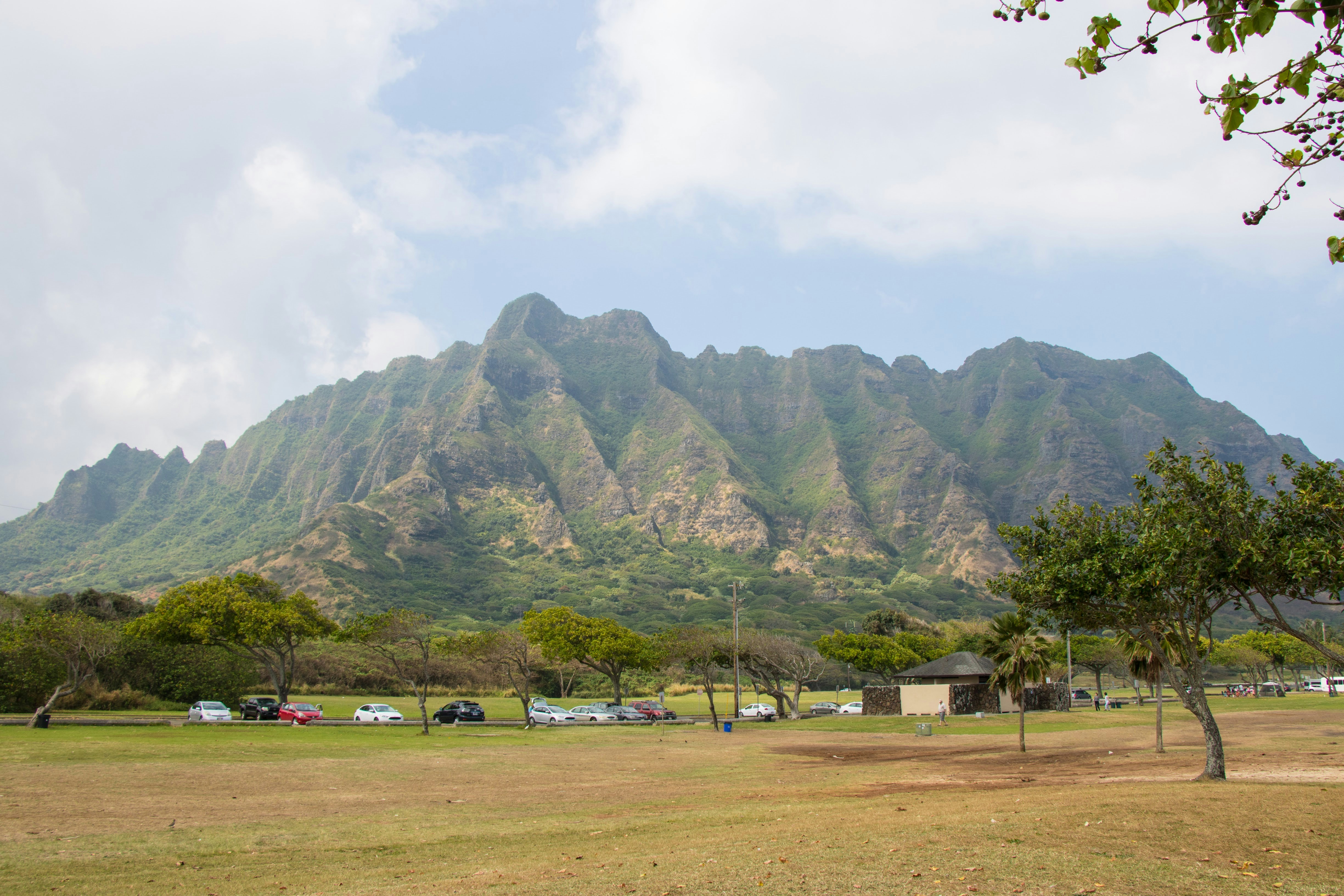 Waʻahila Ridge State Recreation Area