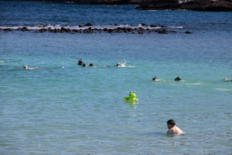 Nachhaltig leben: Tipps für den grünen Alltag