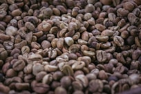 A close up of a bowl of coffee beans