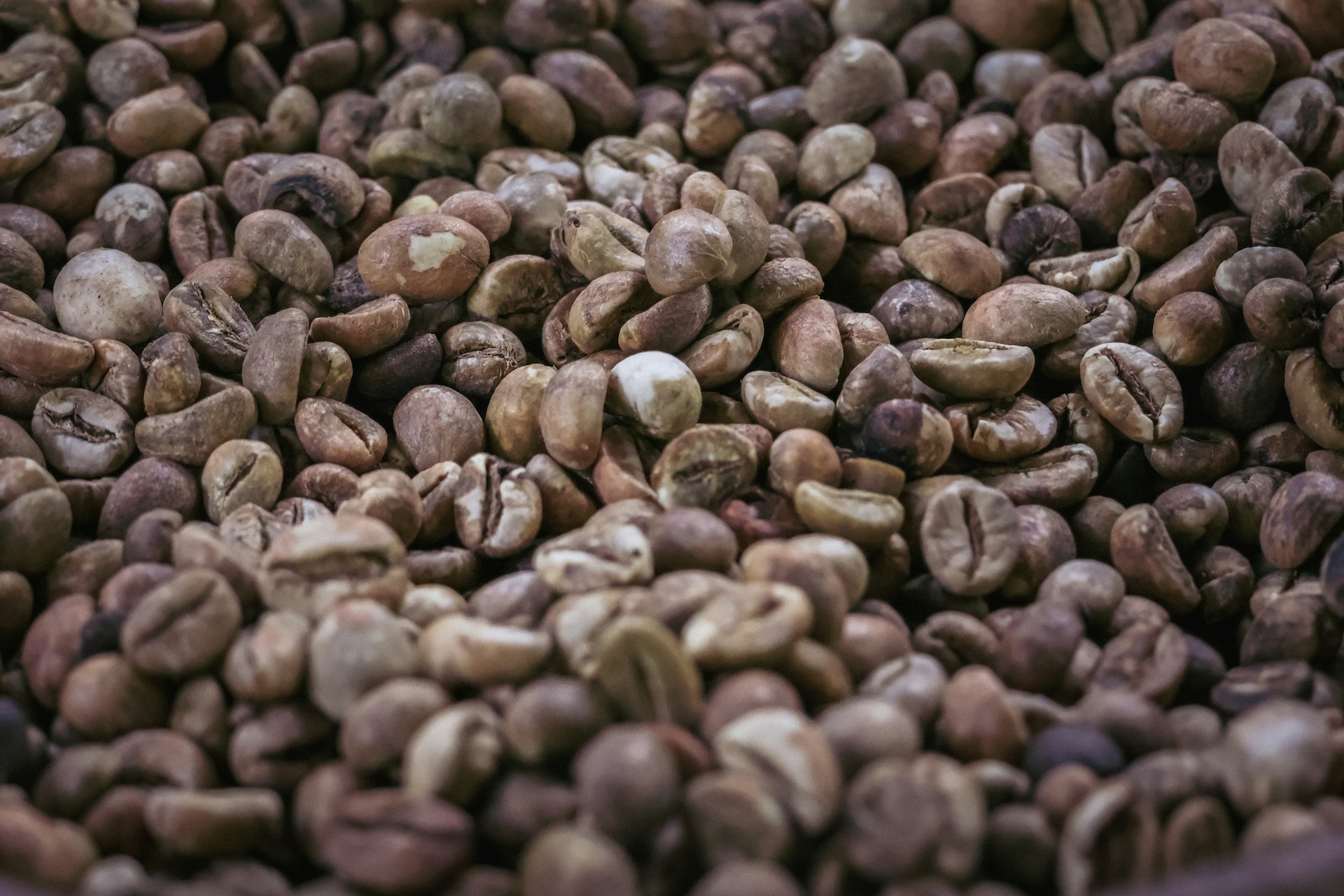 A close up of a bowl of coffee beans