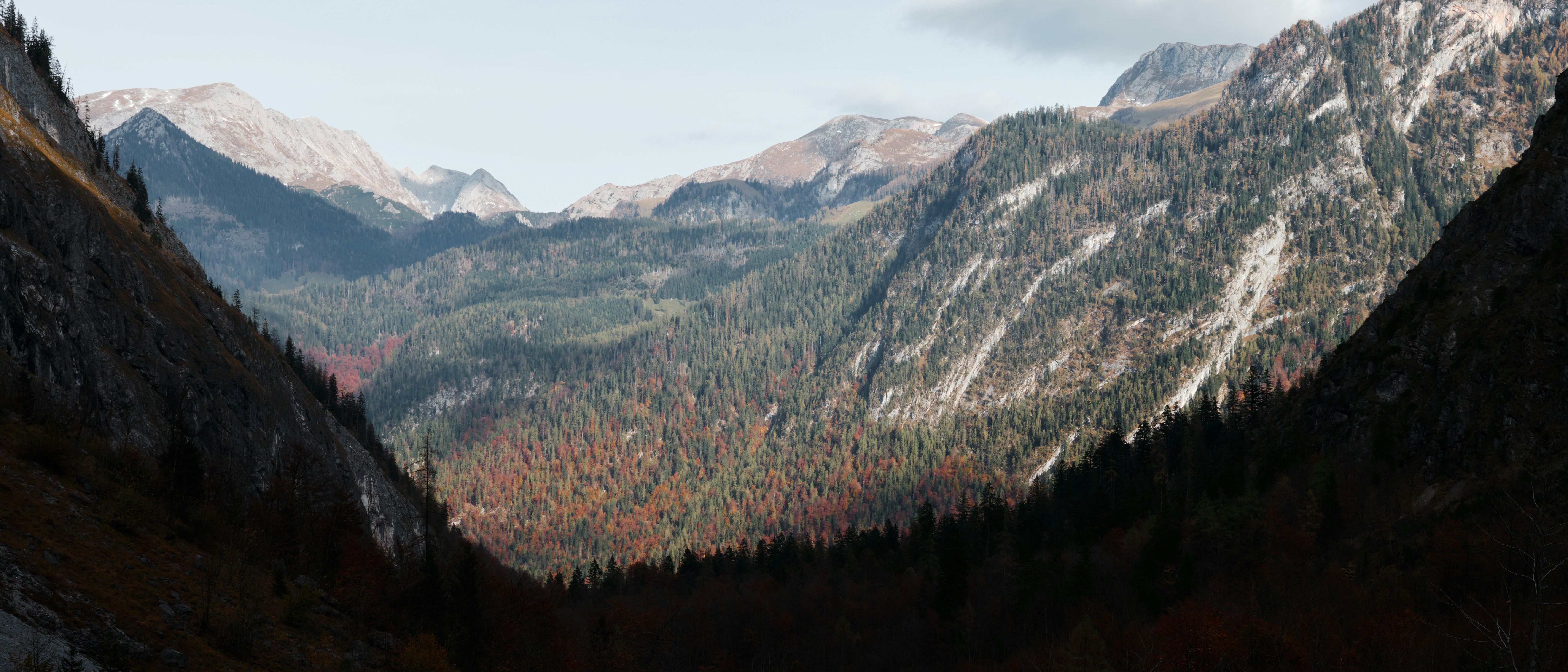 Photo by joshuakettle