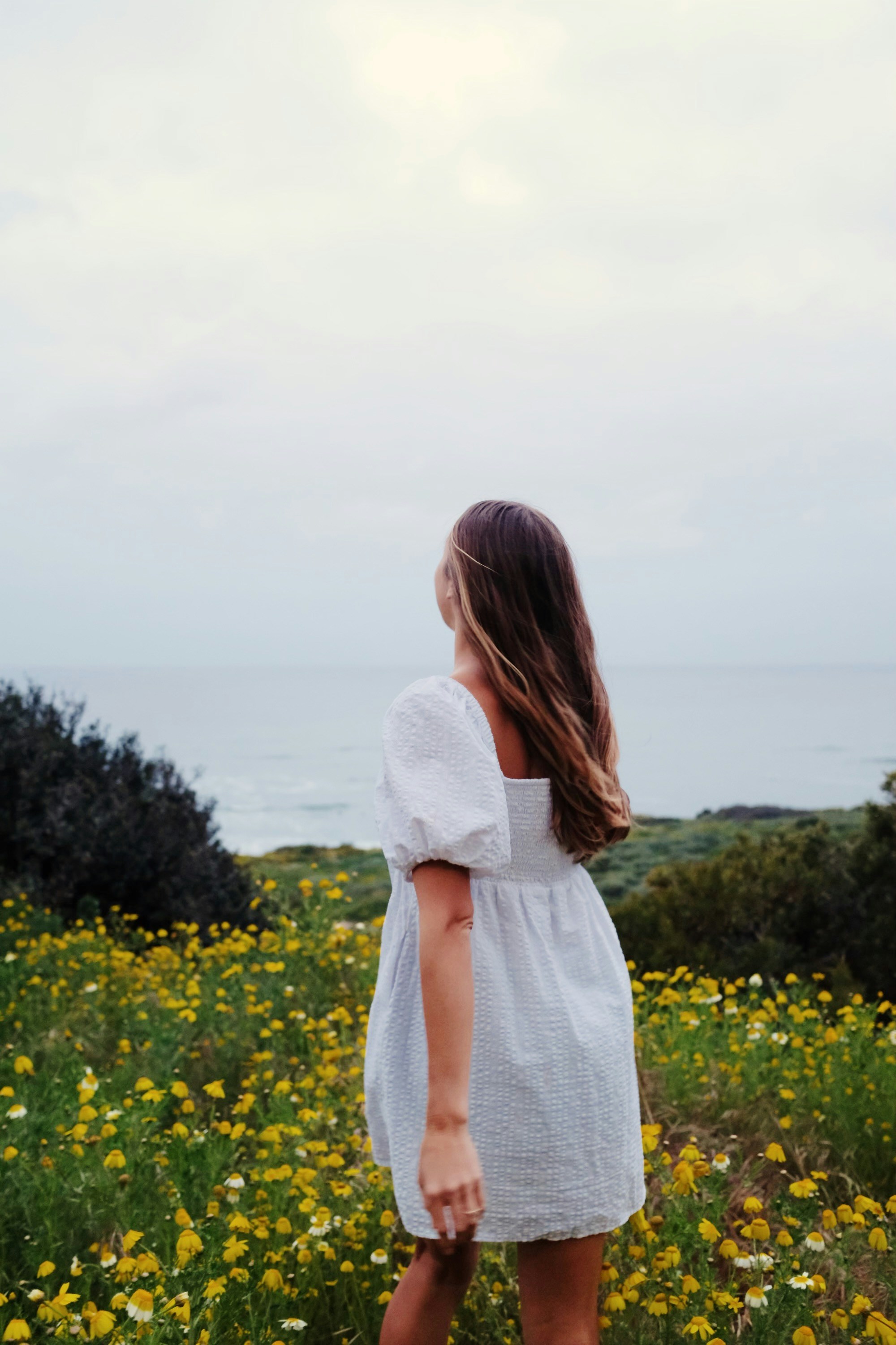 Photo by ellerysterling