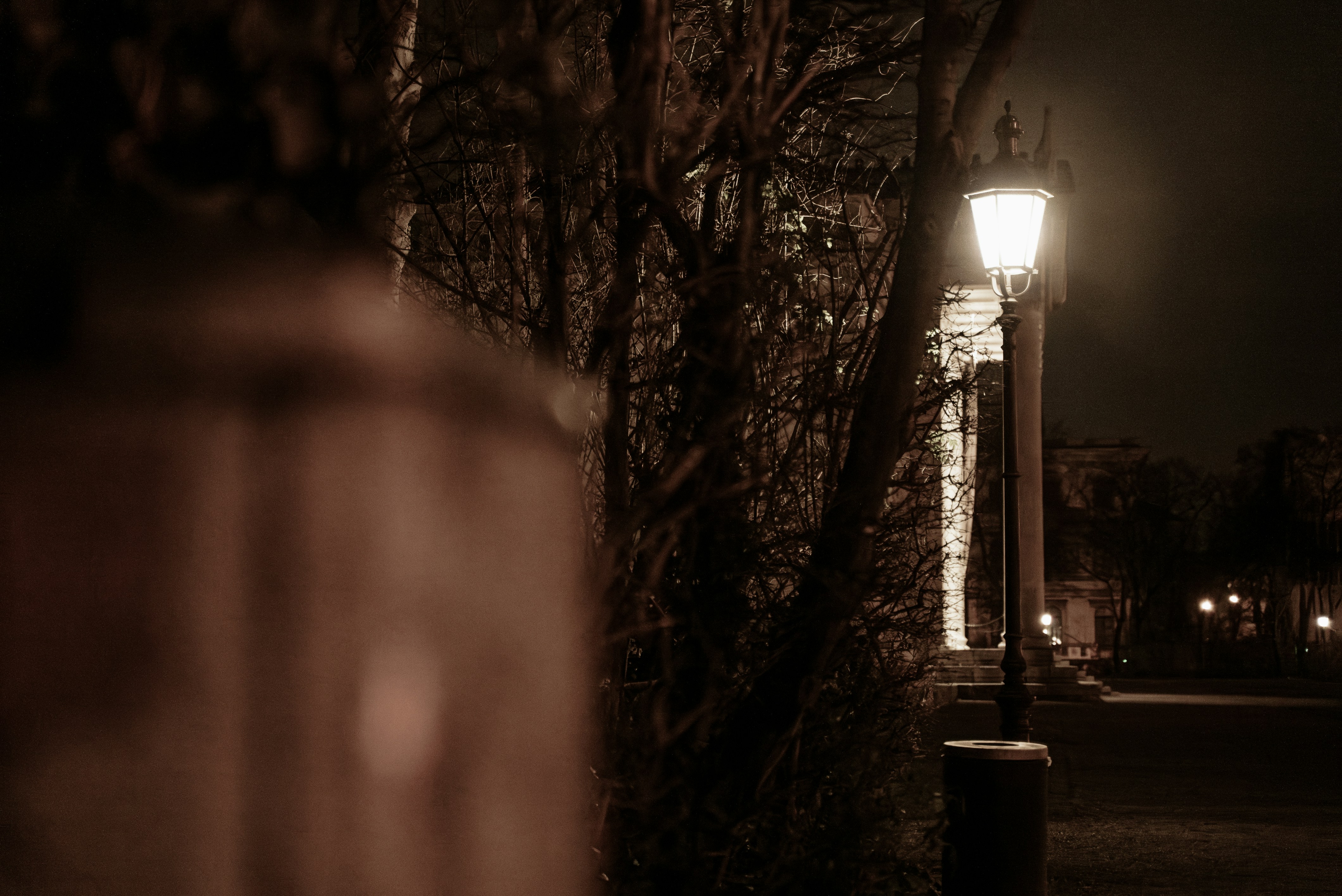 Photo by patrick_von_der_wehd