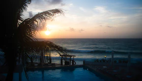 The sun is setting over the ocean with a palm tree in the foreground