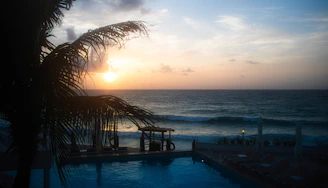 The sun is setting over the ocean with a palm tree in the foreground