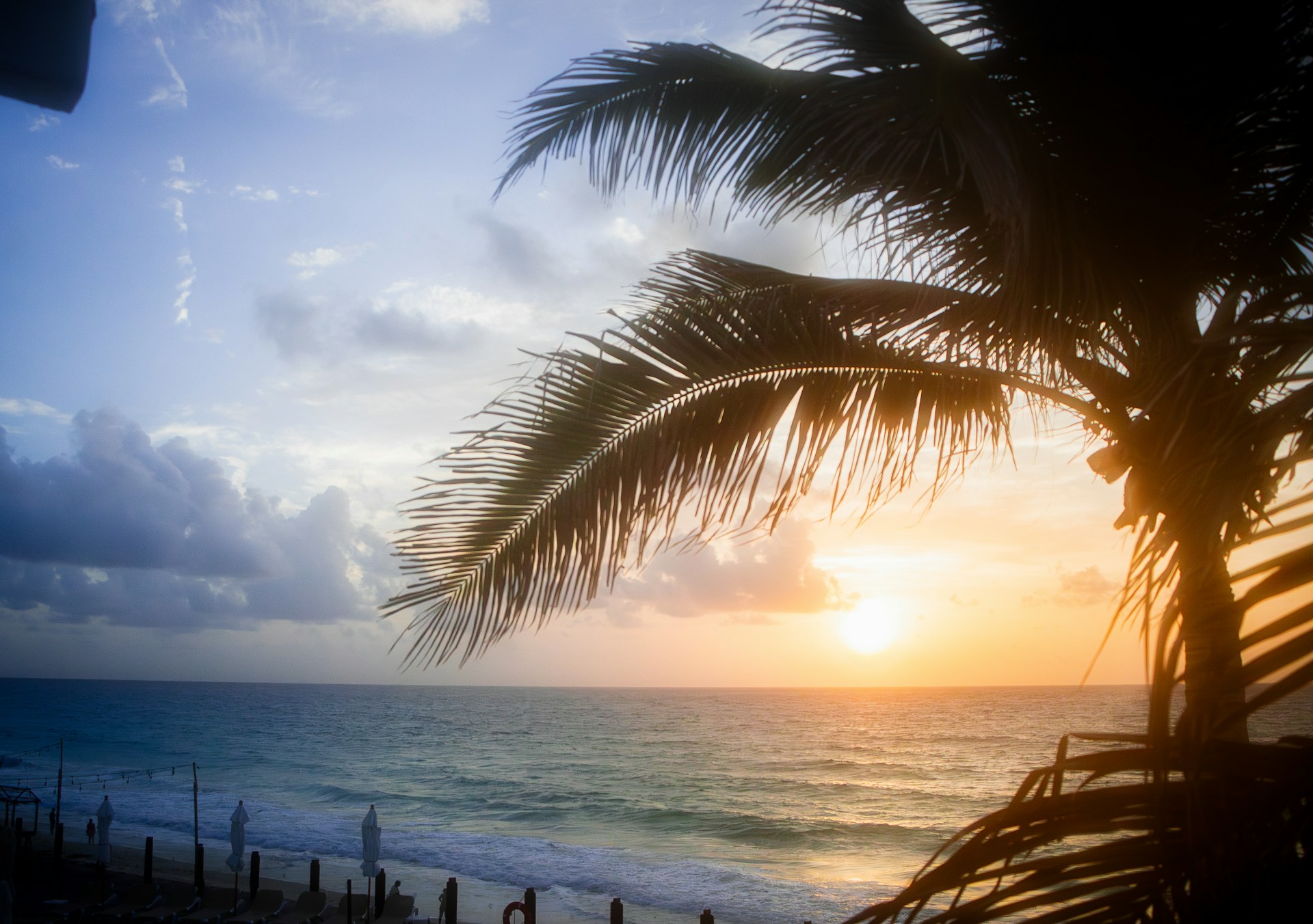 The sun is setting over the ocean with a palm tree in the foreground