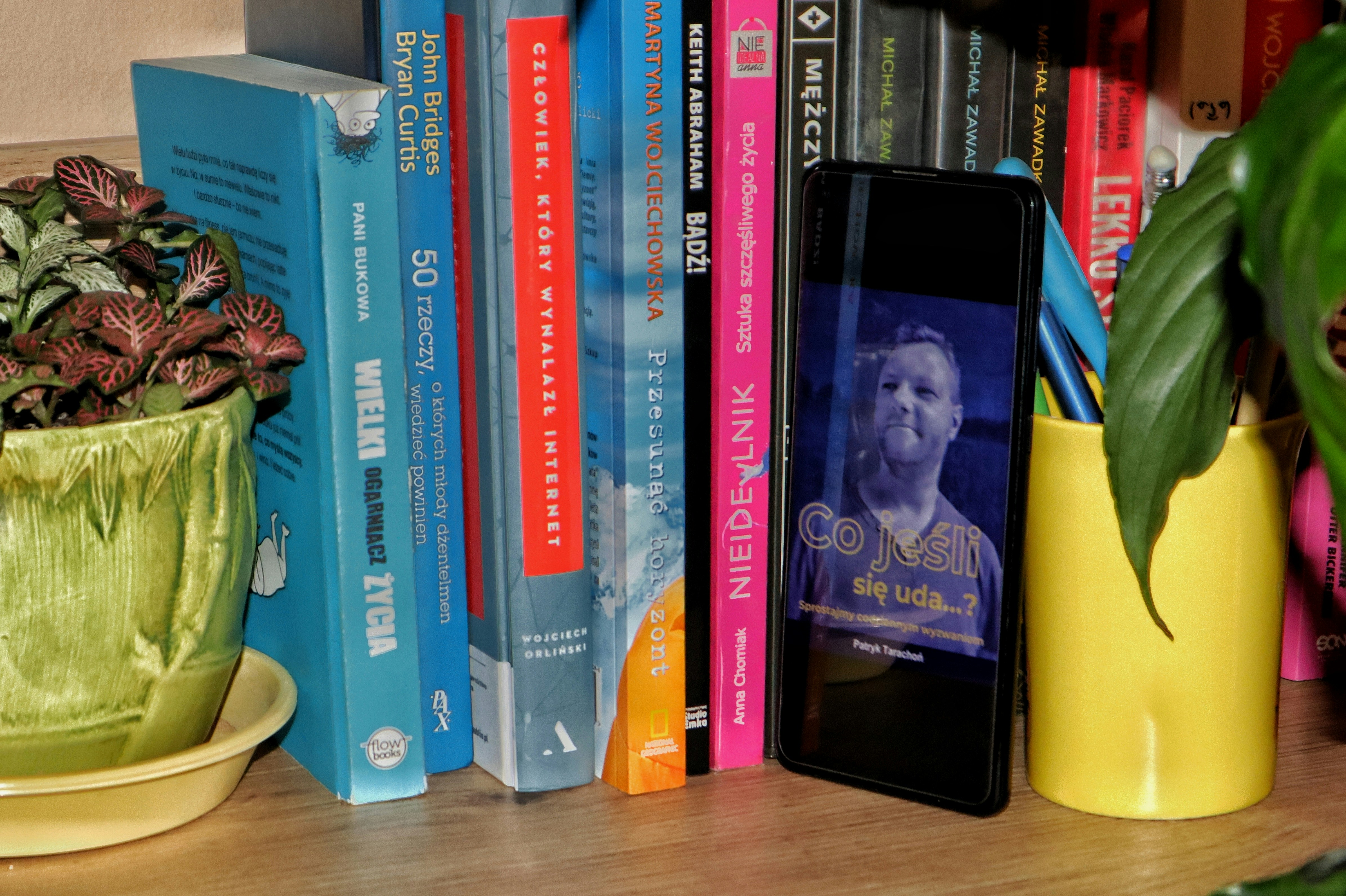 A potted plant sitting on top of a wooden table