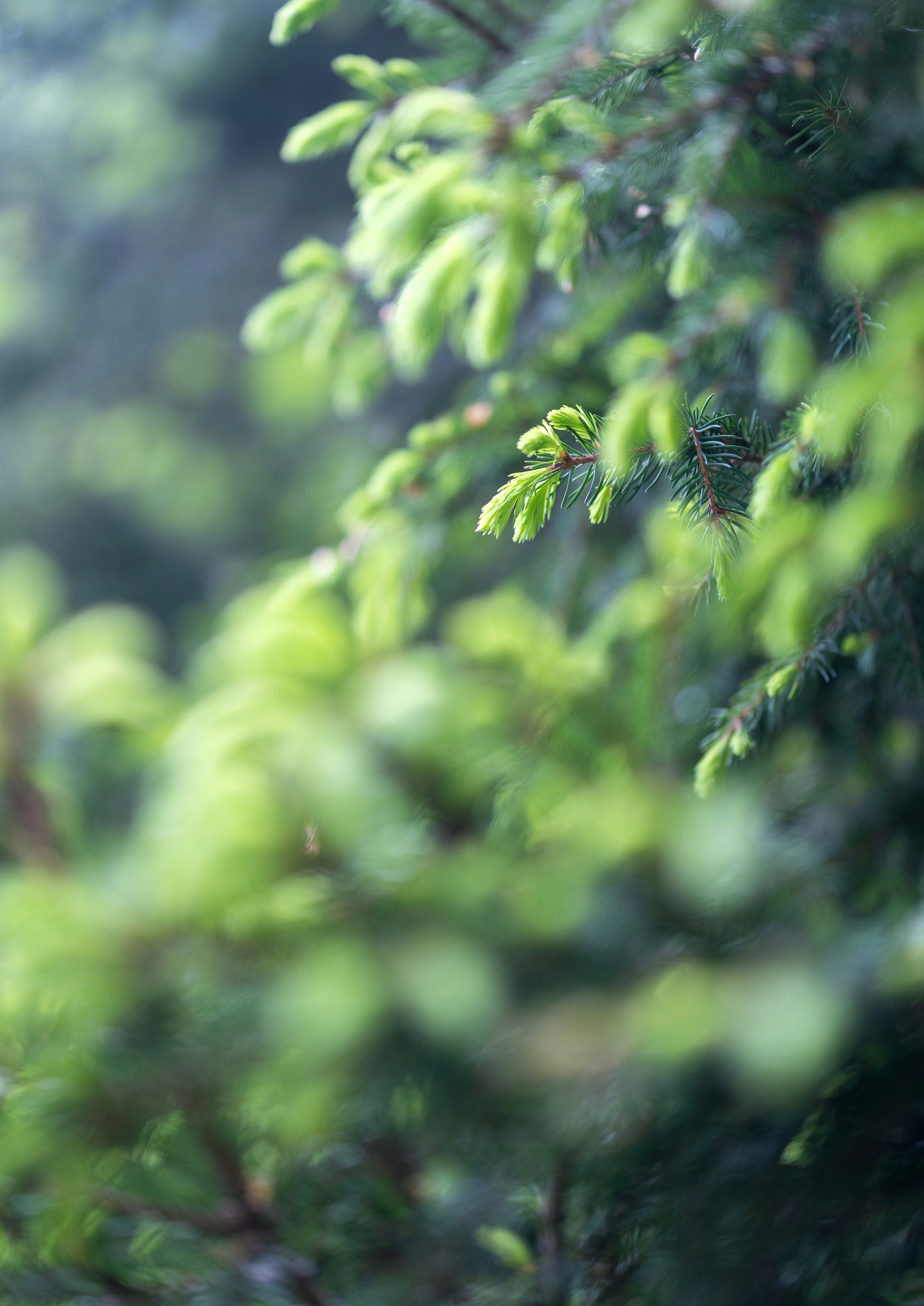 Photo by marekpiwnicki