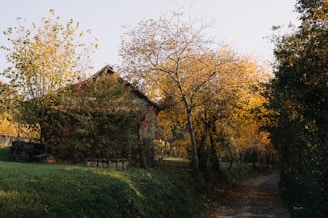 A dirt road with a house in the background