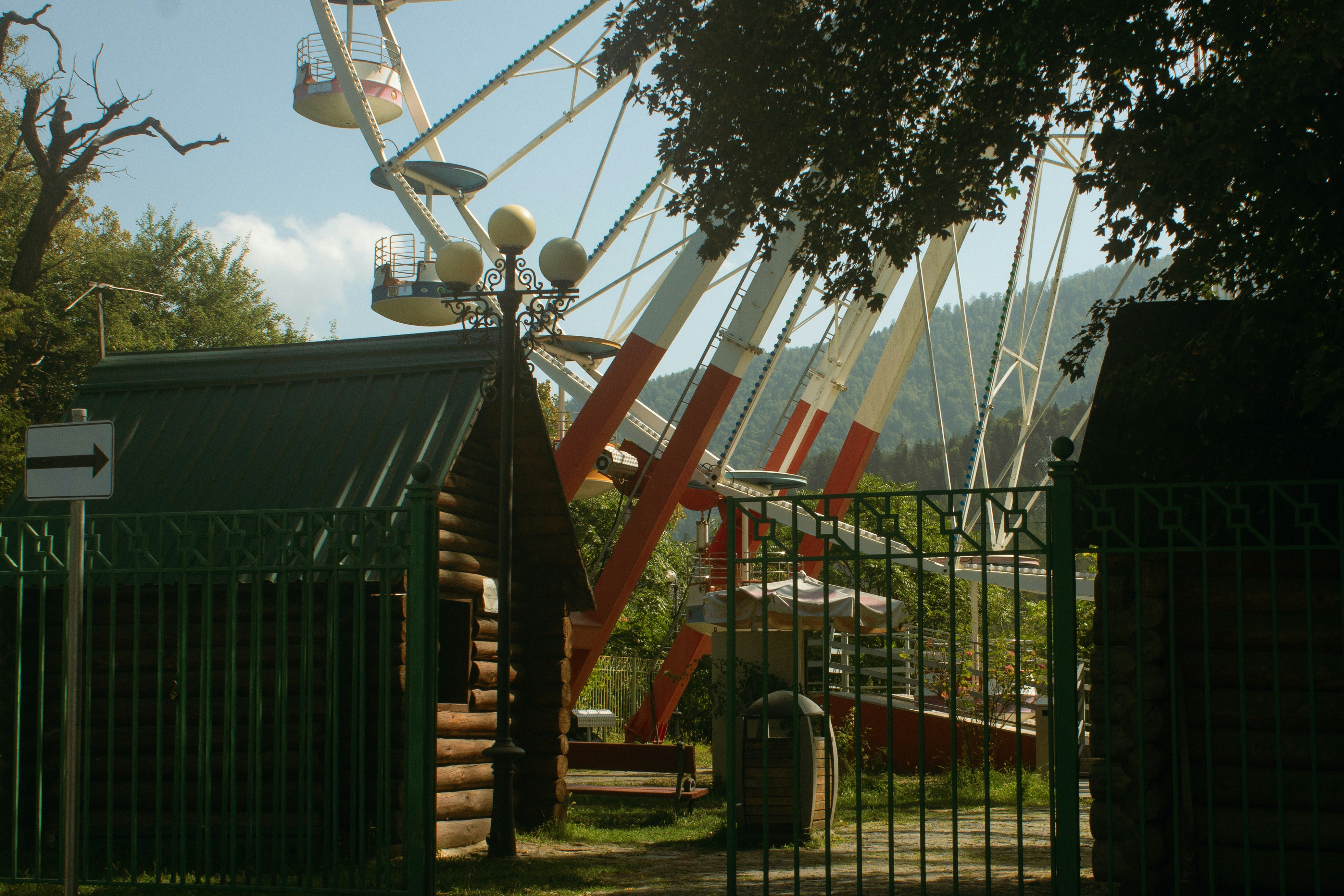 A ferris wheel in the middle of a park