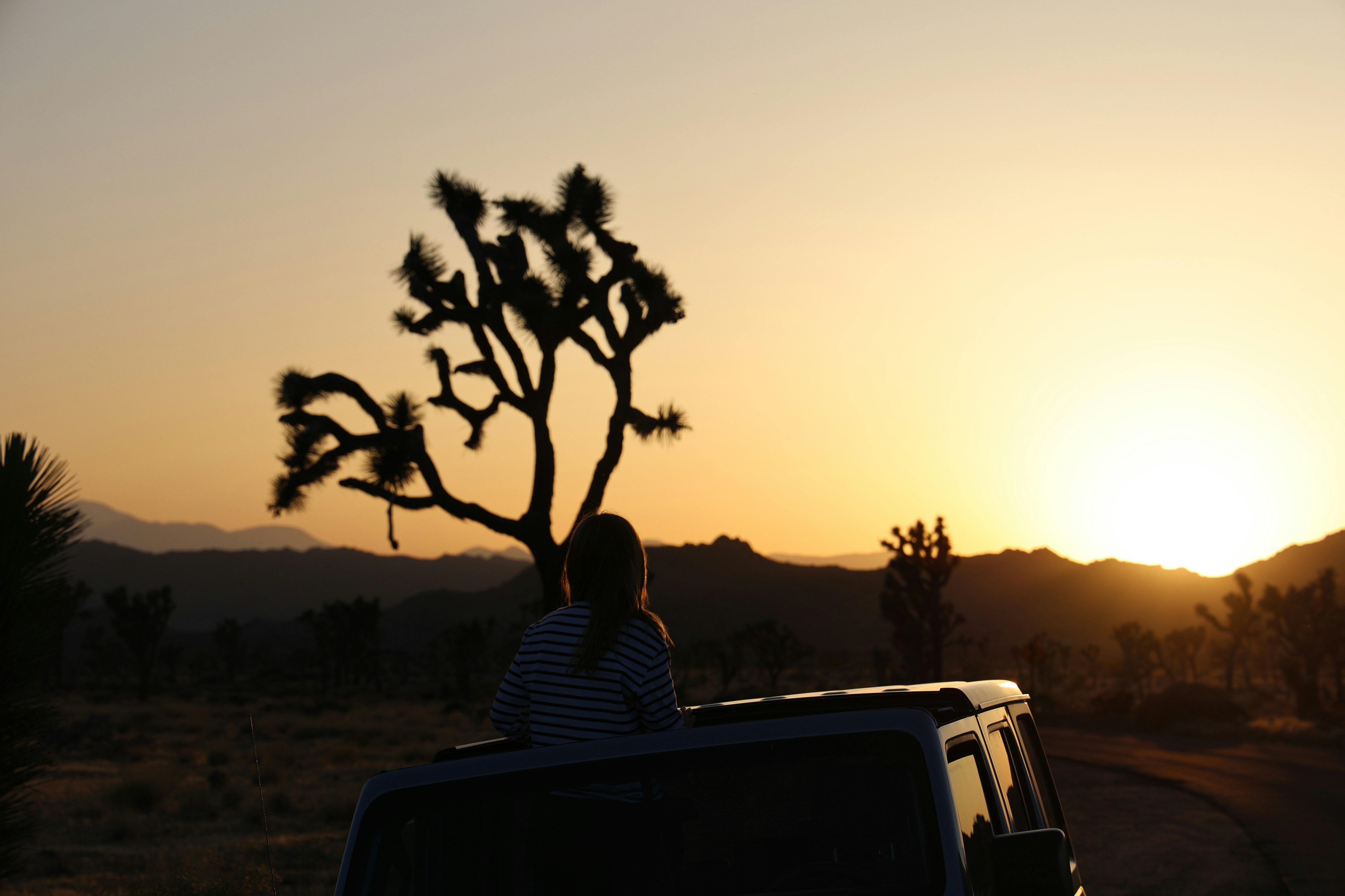 A person sitting in the back of a pick up truck