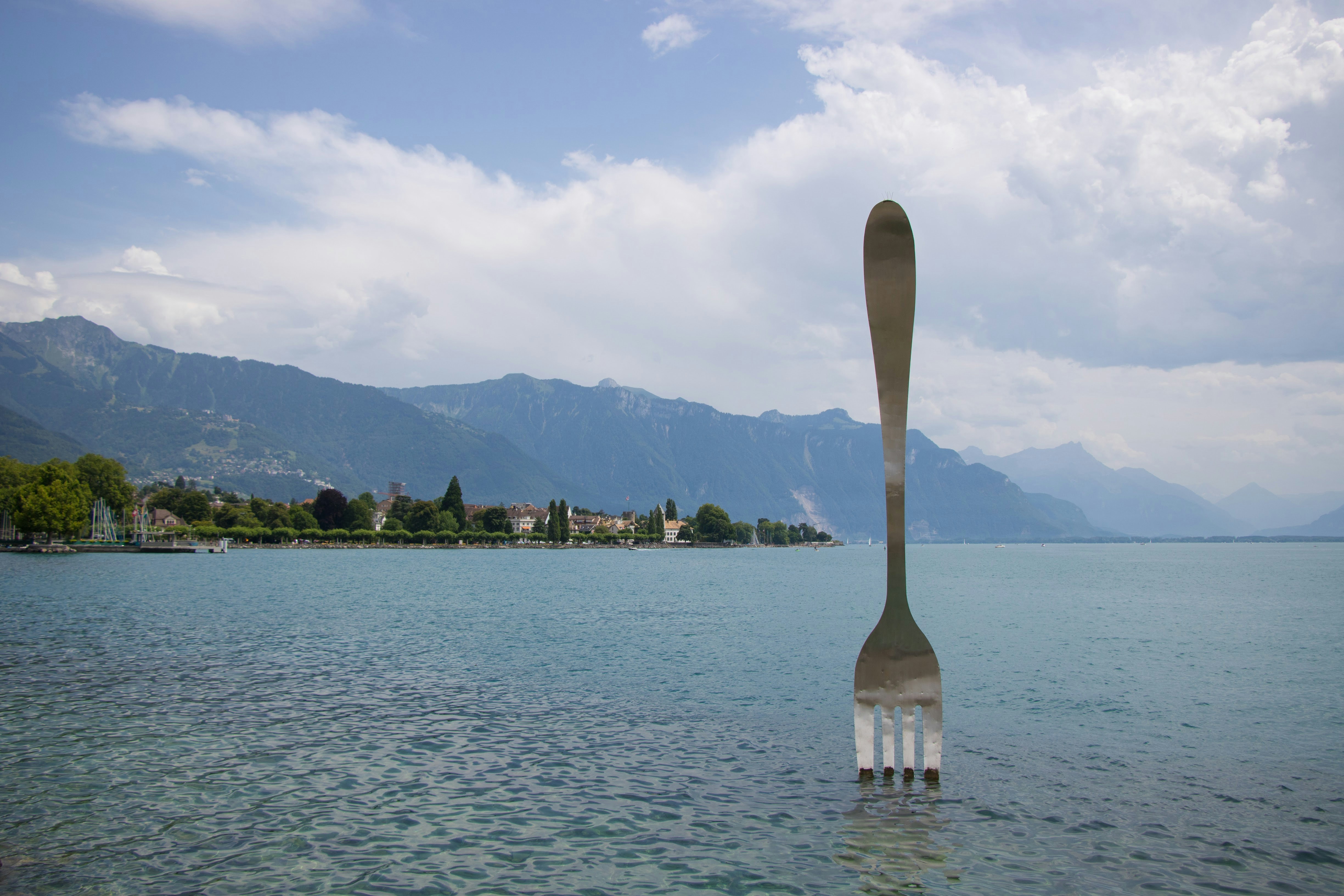 A fork sticking out of the water with mountains in the background