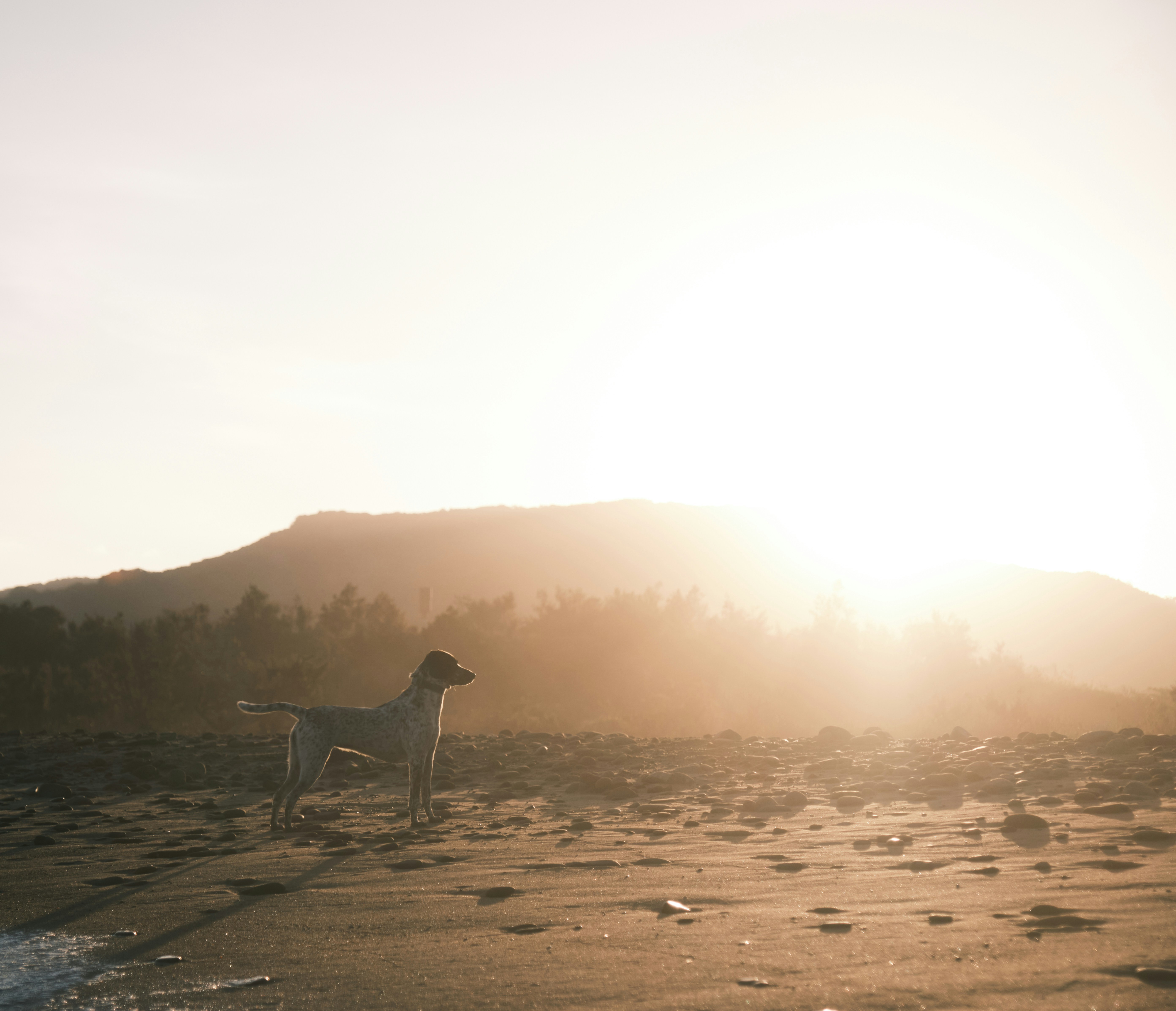 Photo by tintinburgh