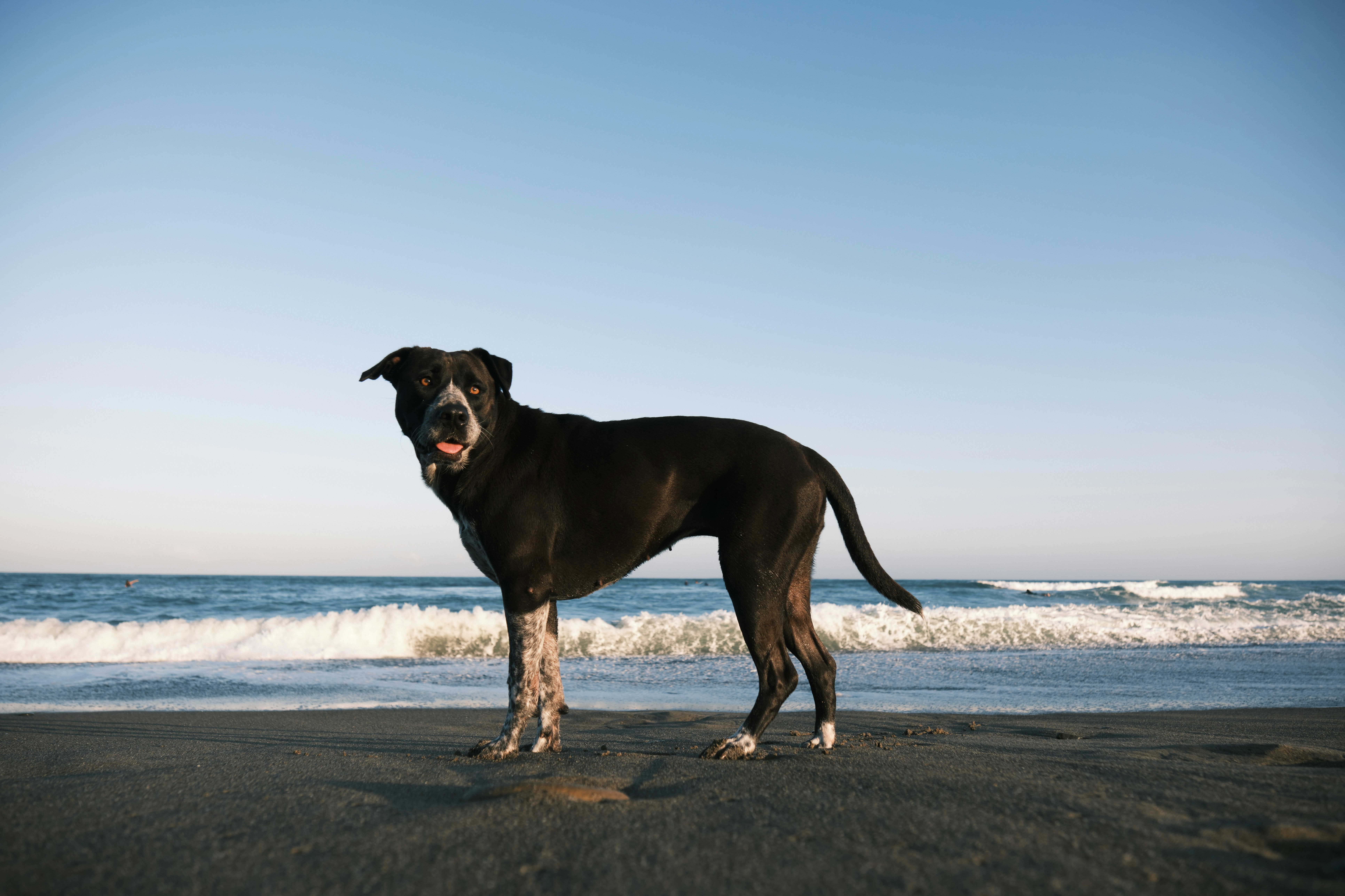 Photo by tintinburgh