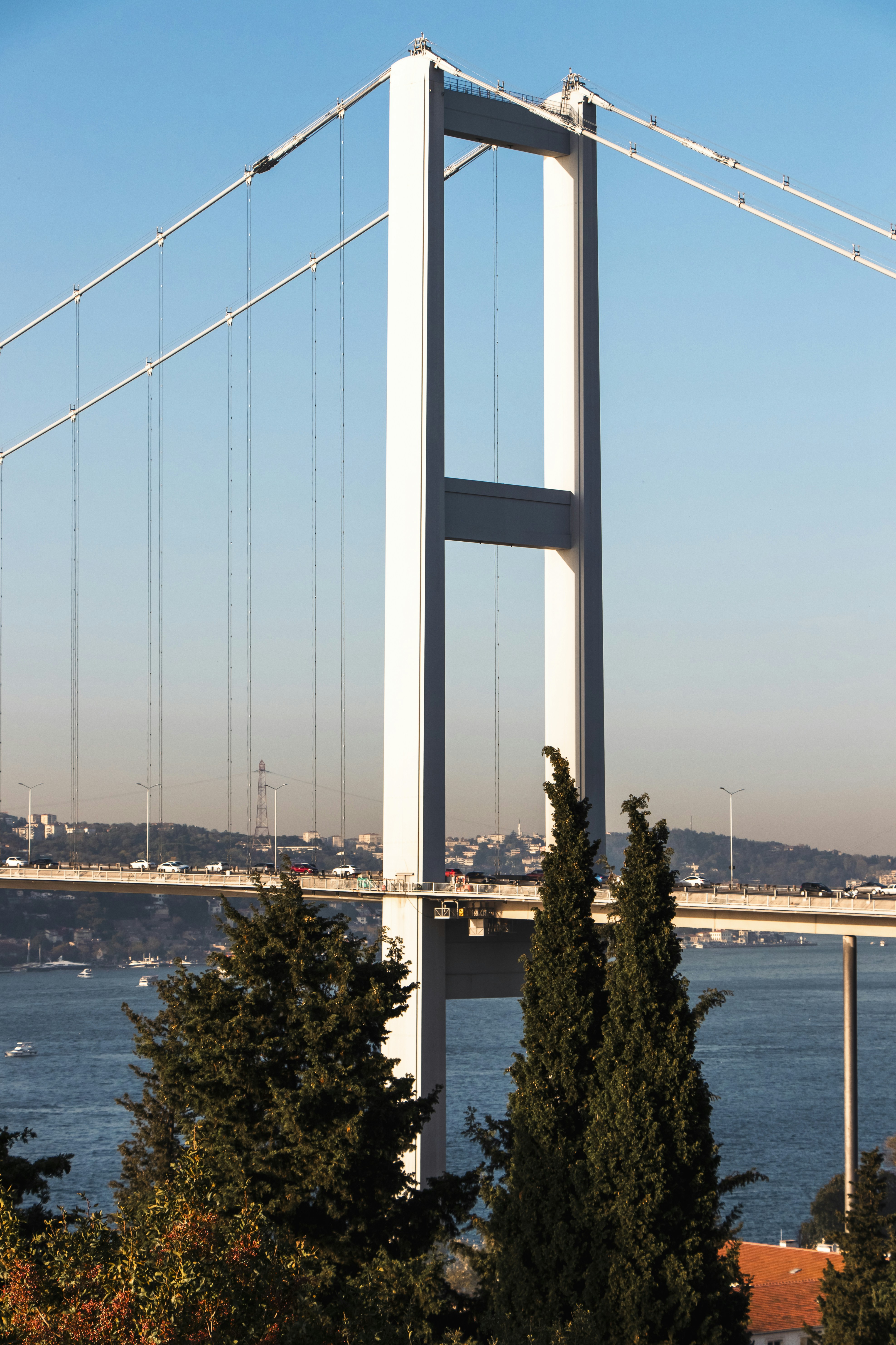 Photo by burakbasgoze