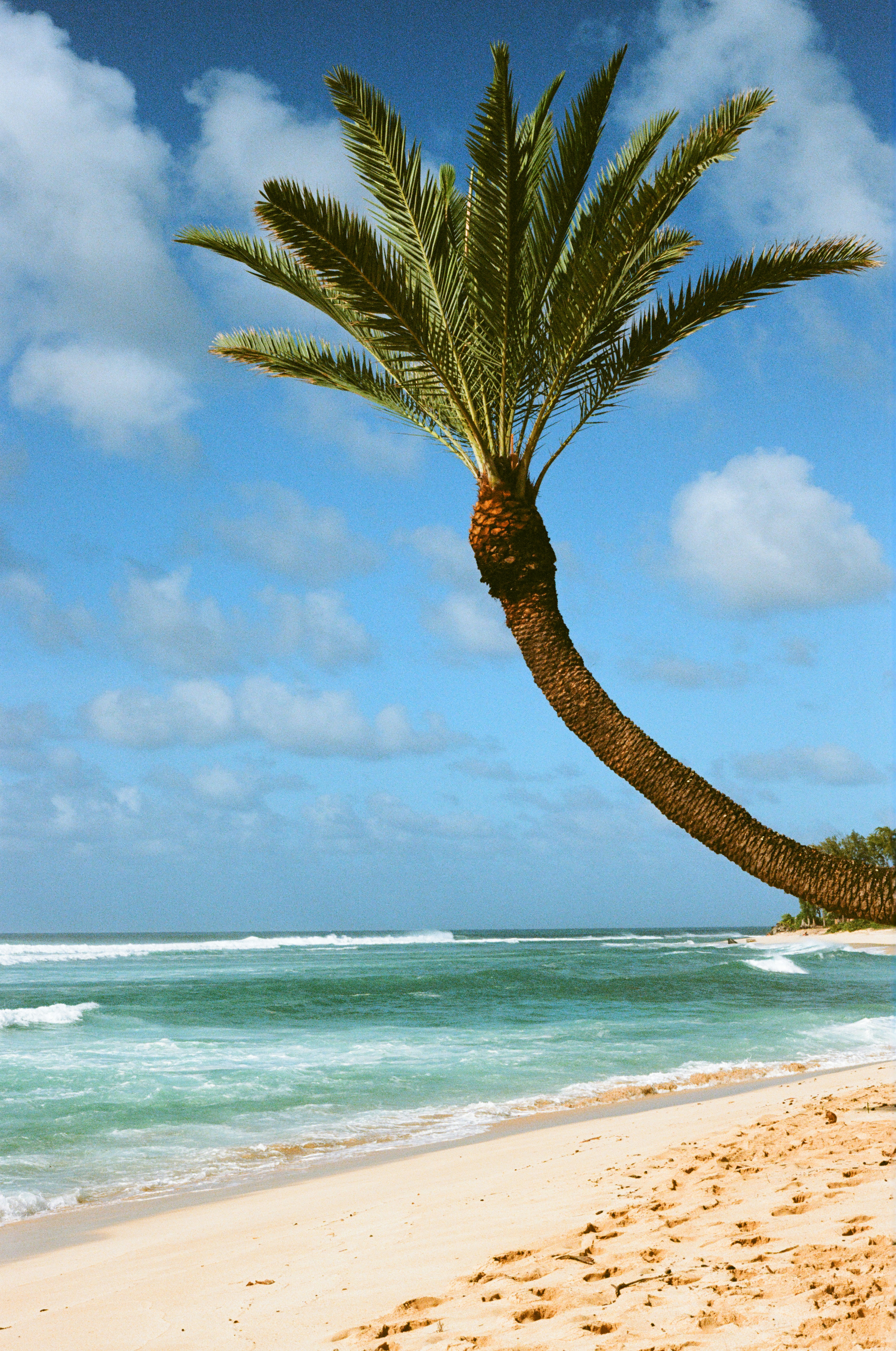 Photo by jewadalnabi