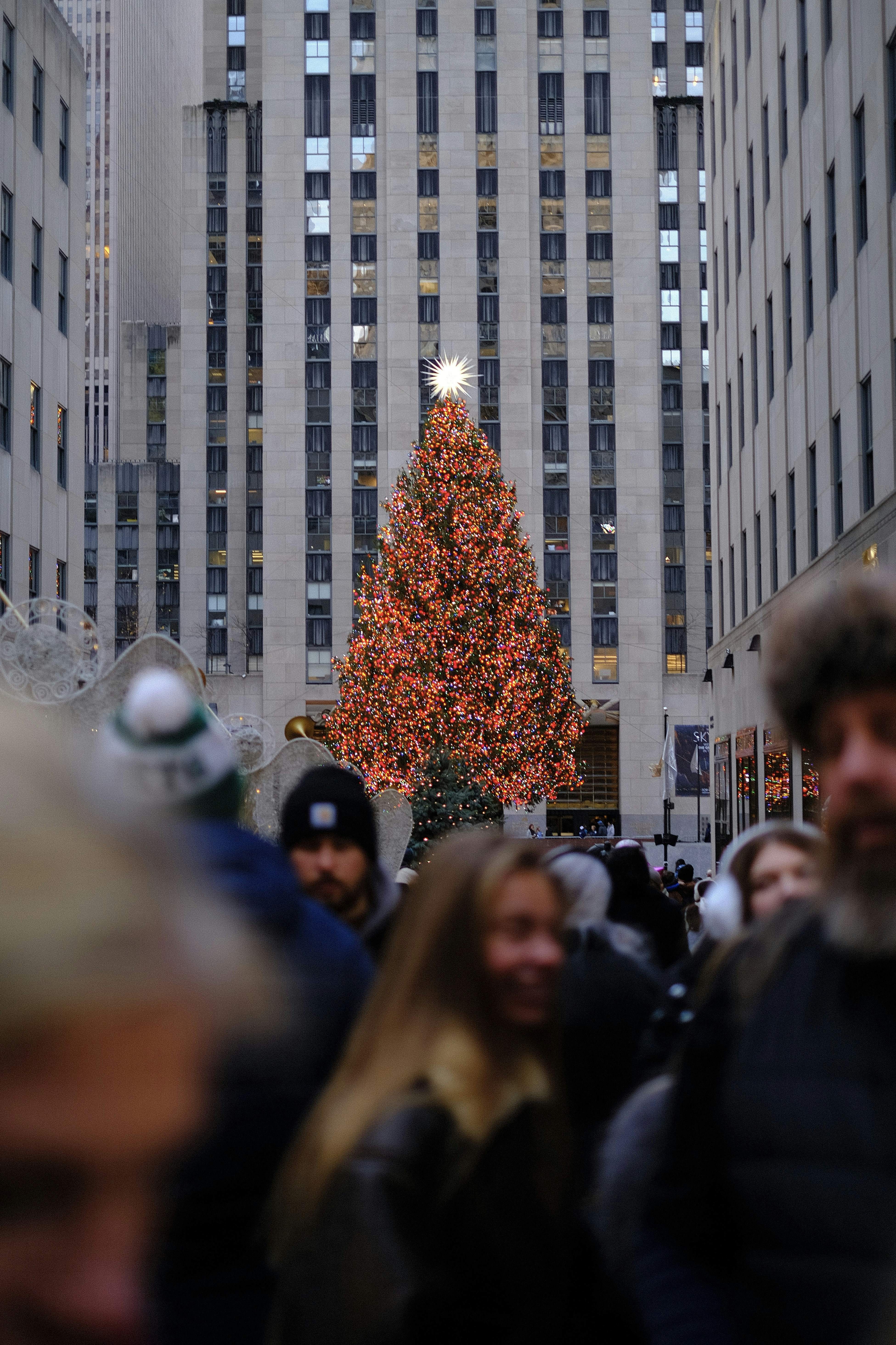 A crowd of people standing in front of a christmas tree