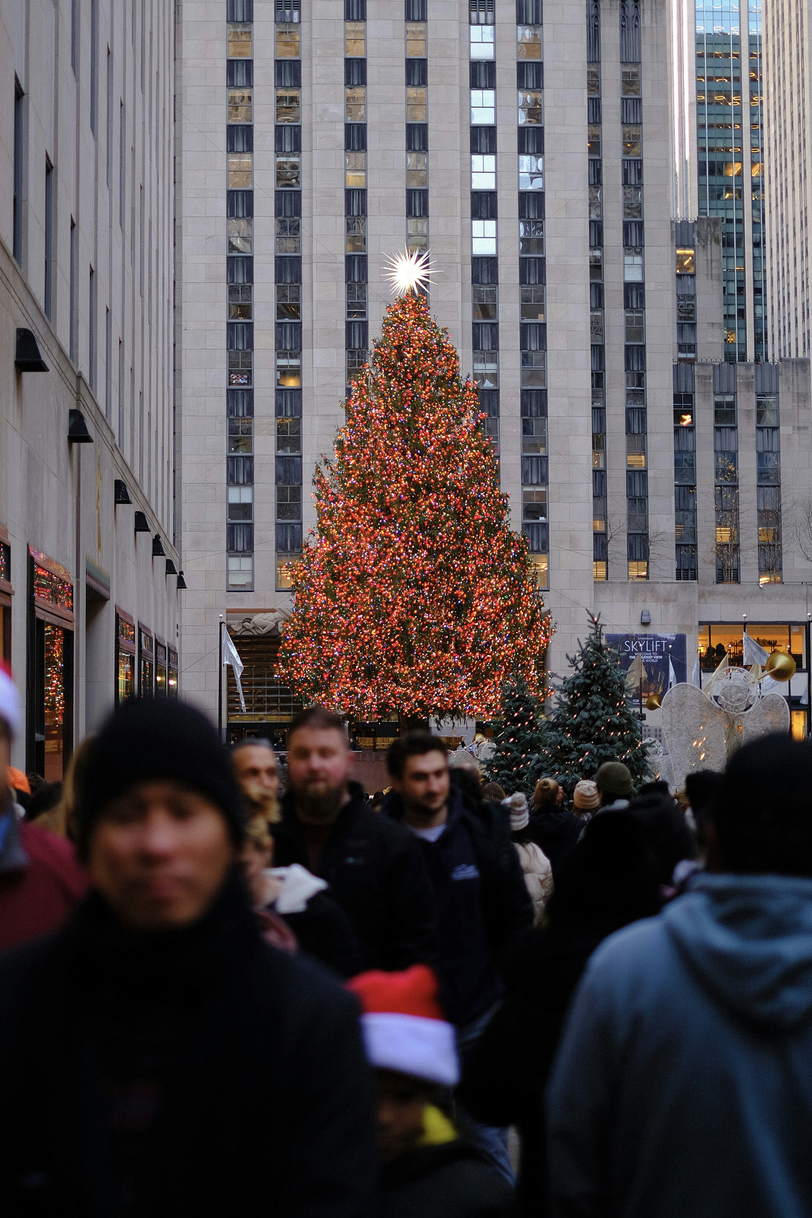 A large christmas tree in the middle of a city